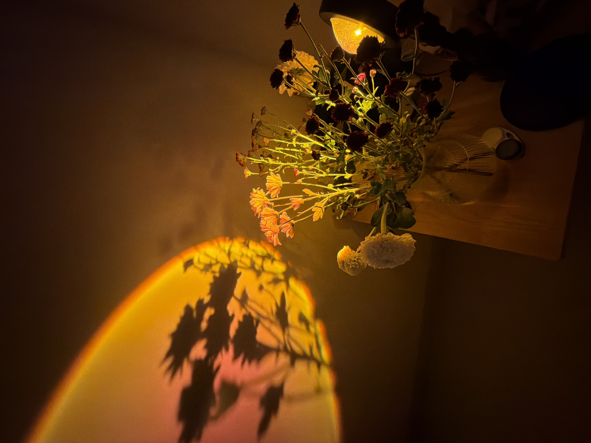 Indoor moments captured in Kuta Selatan: flowers, laptop, anime