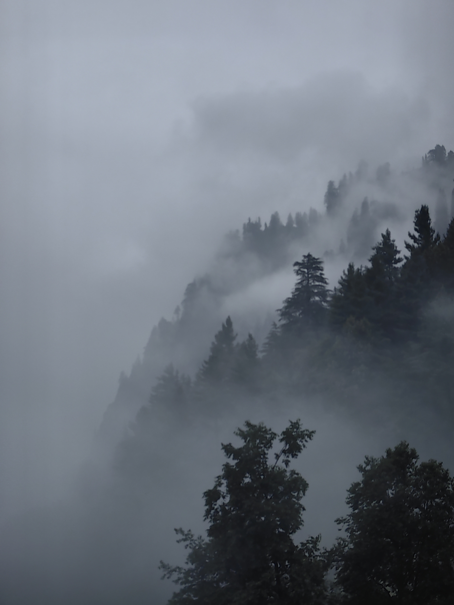Fog blankets Vashisht's forested mountains and valley town