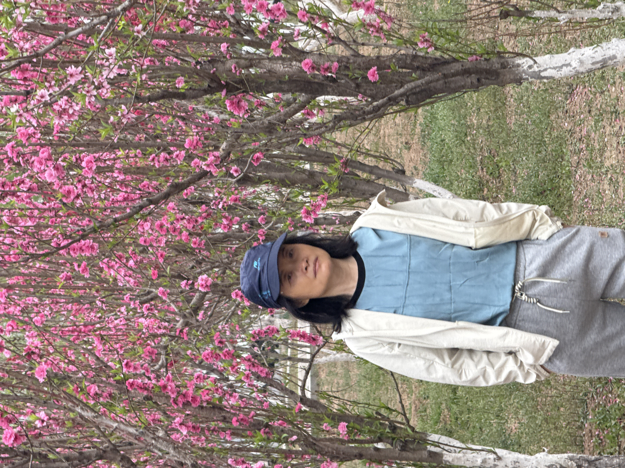 Morning street life and spring blooms observed in Zhongtun