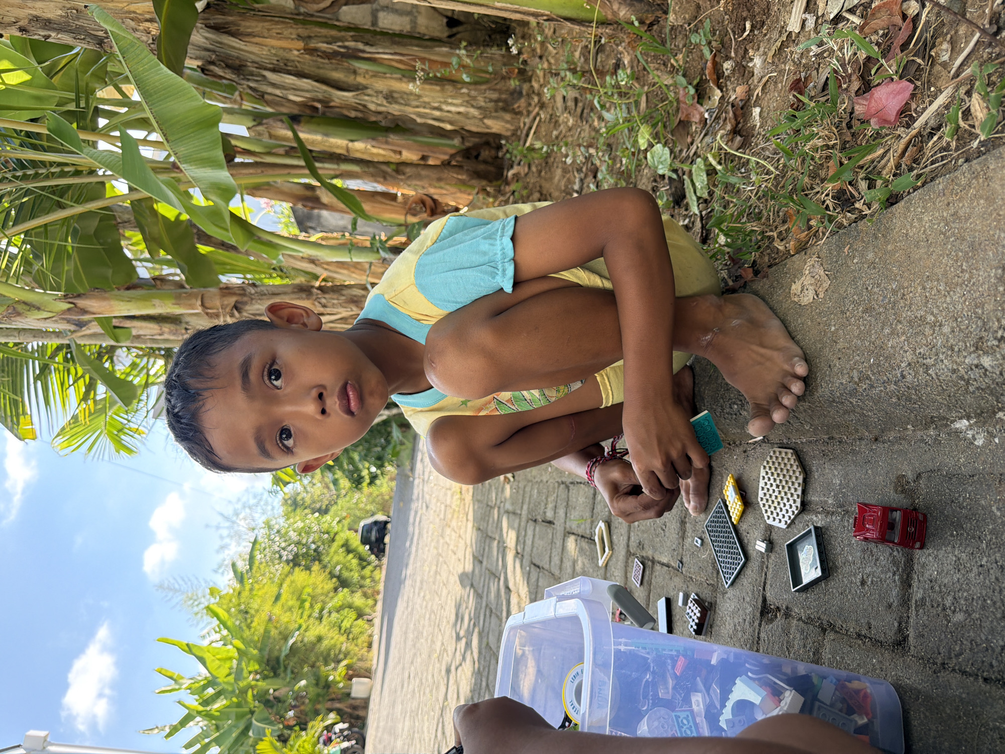 Kids, dogs, and chickens share a Bali morning outside
