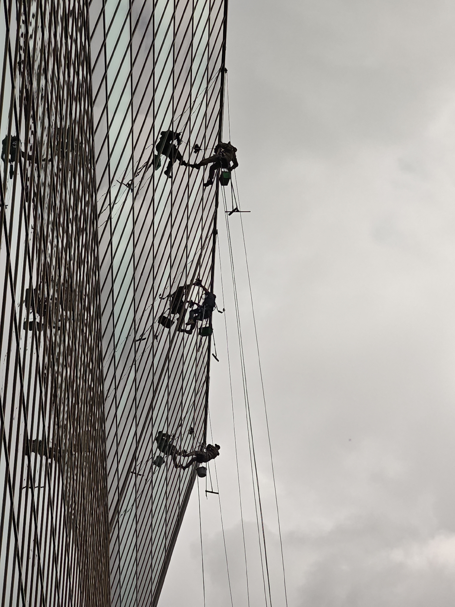 Window washers suspended by ropes clean a glass skyscraper facade