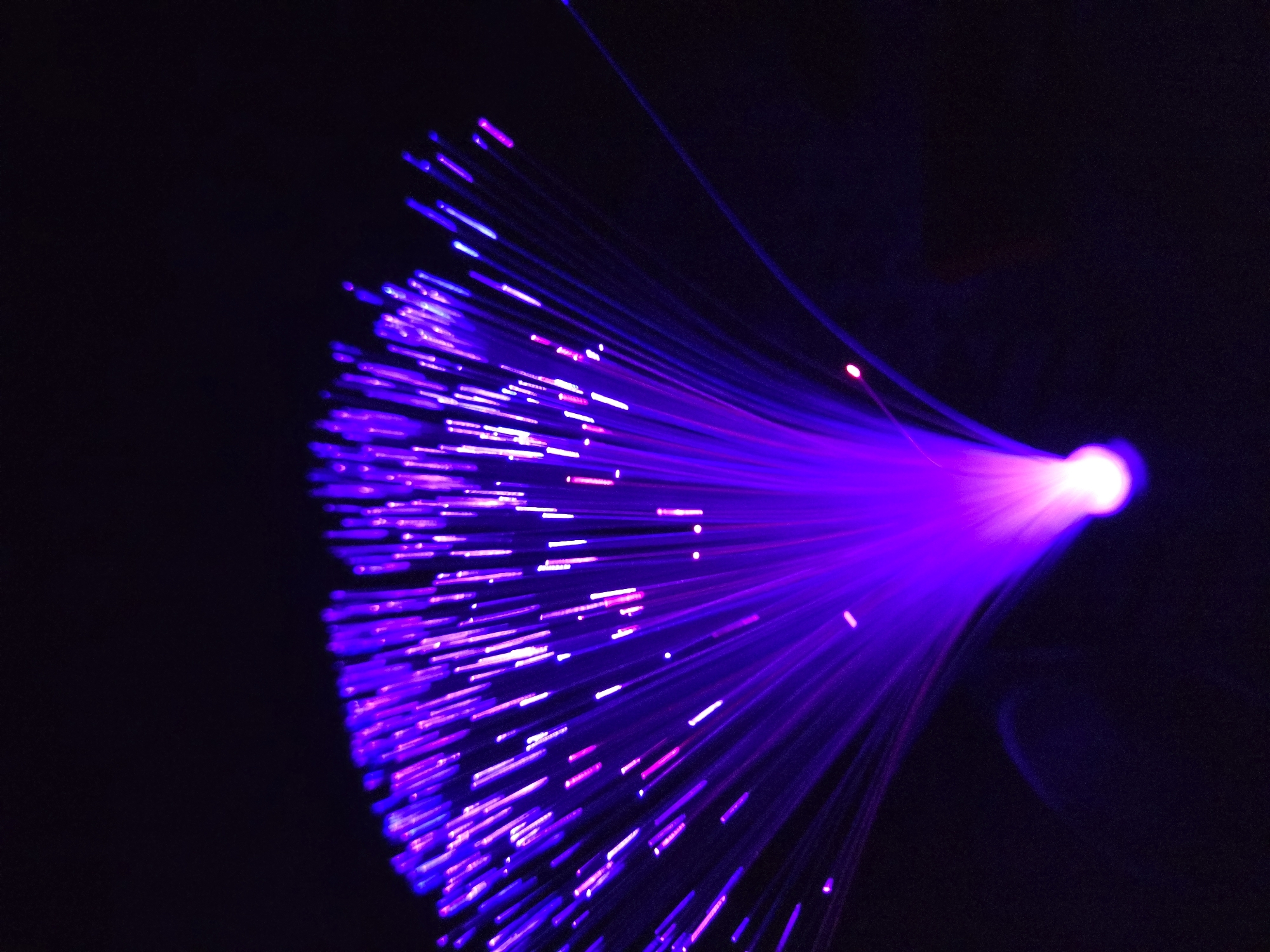 Spring flowers and fiber optics documented in Bulgarian home