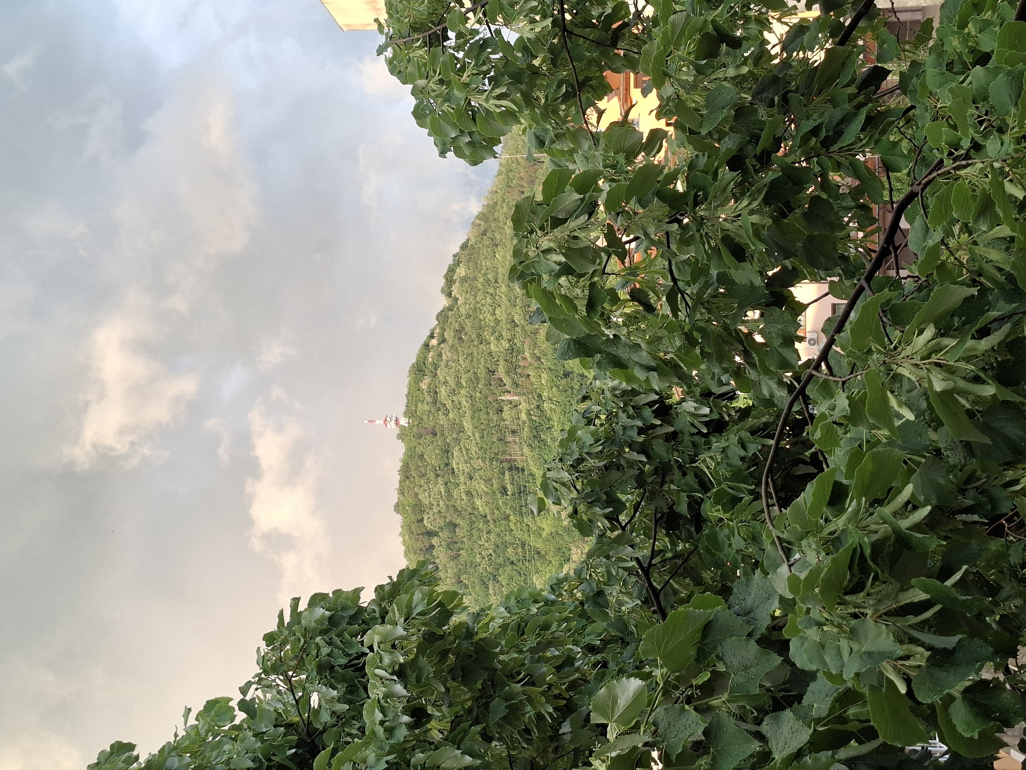 Hillside neighborhoods and telecom tower documented in Gabrovo, Bulgaria