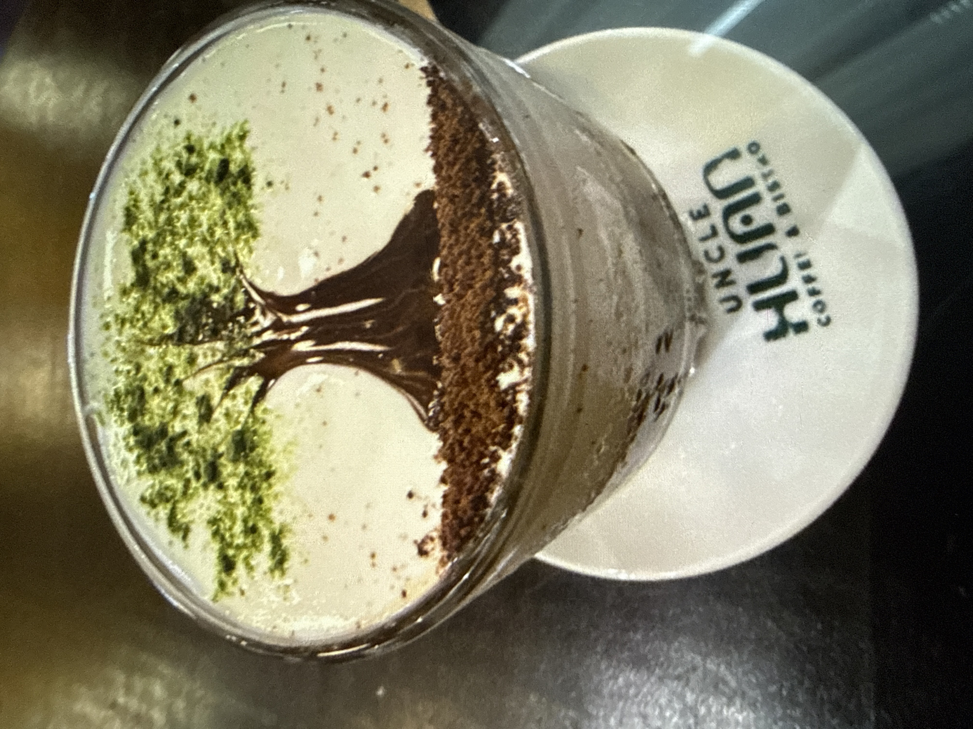 Coffee art and a playful calico cat in Khabarovsk