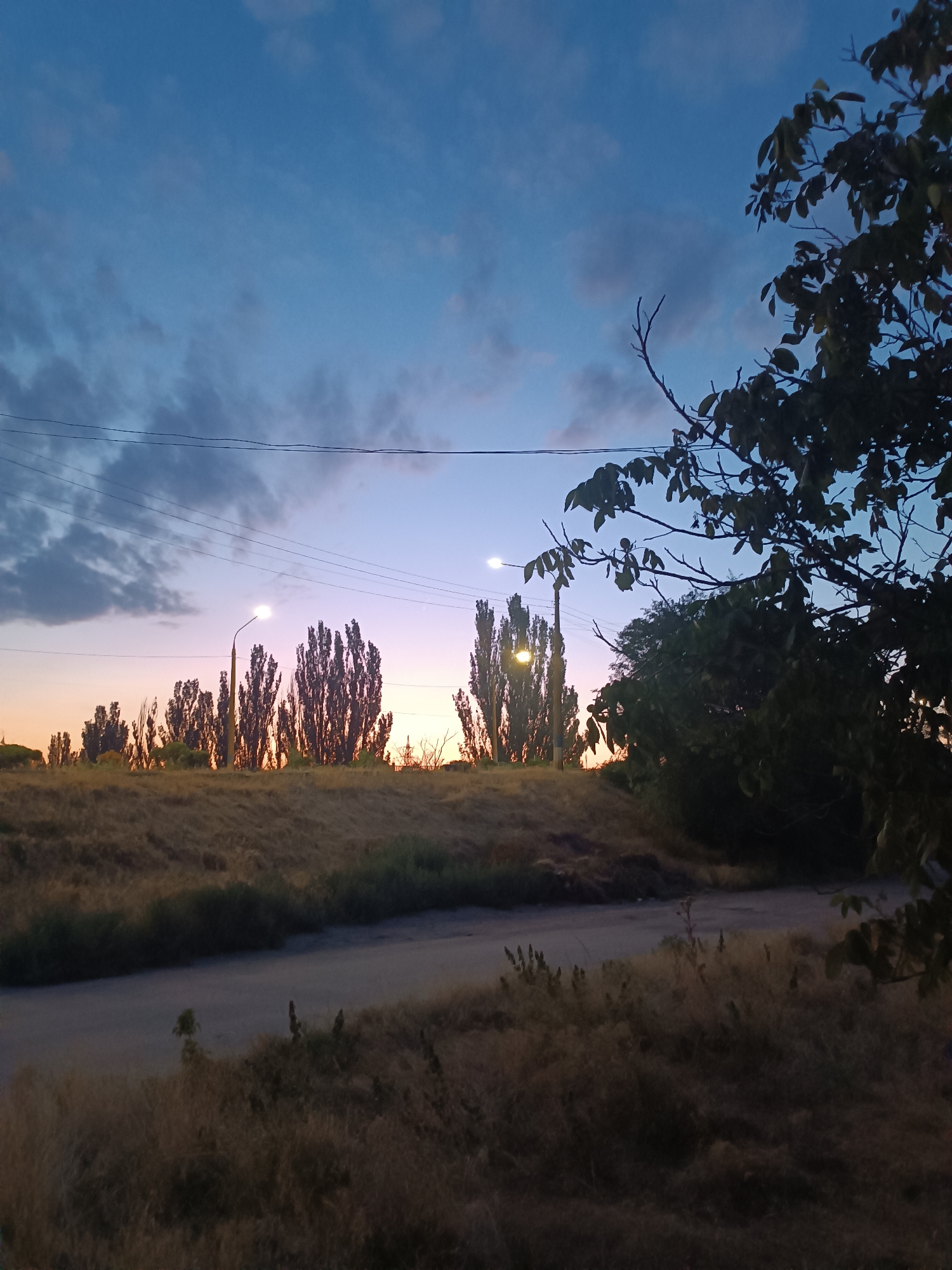 Dusk walk through a semi-rural area, flora and fading light