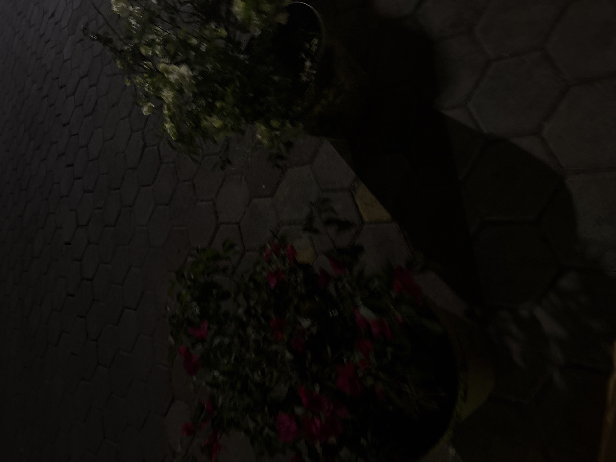 Restaurant interior documented during evening dining in San Andrés Cholula