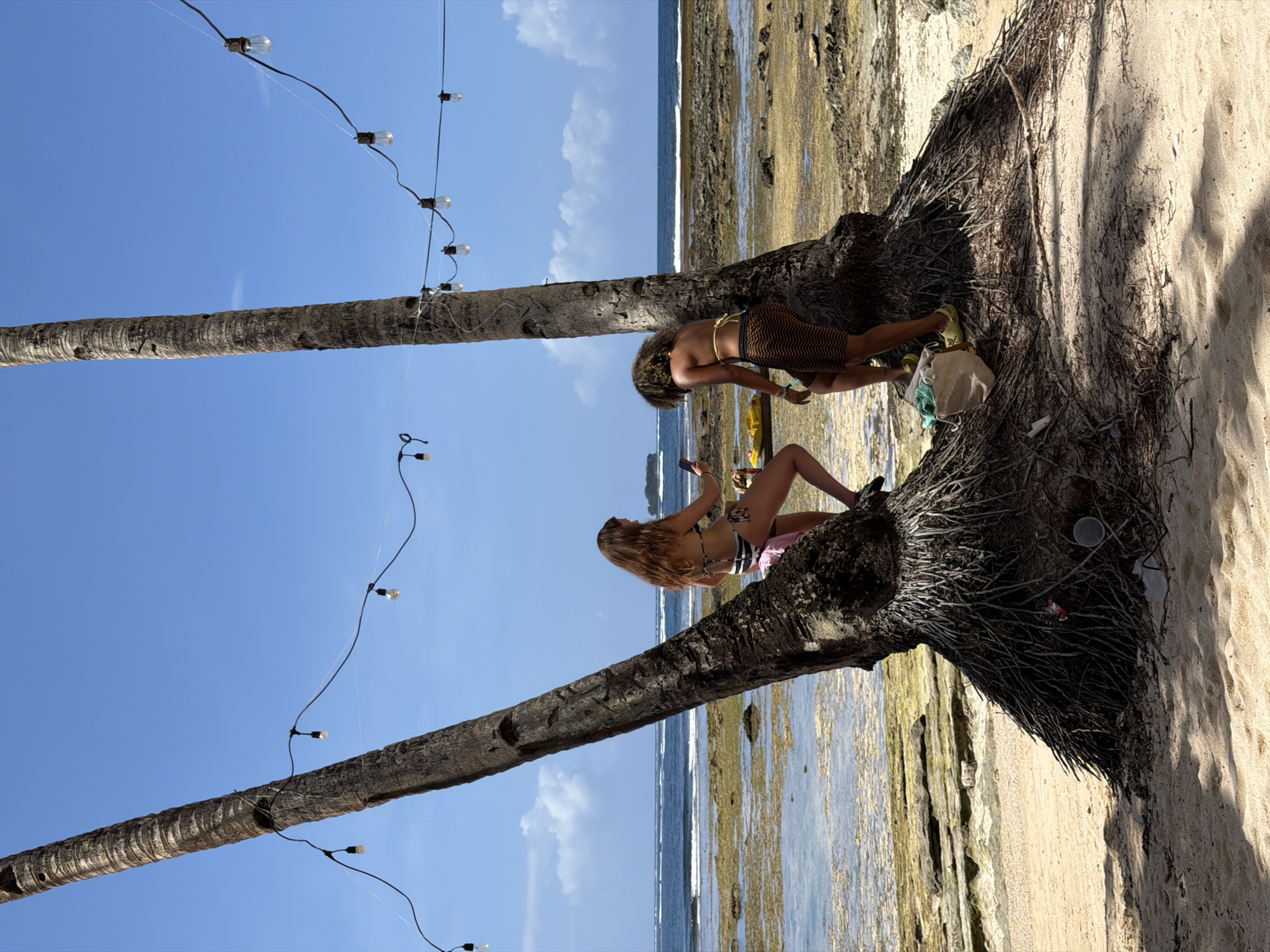 Two women share quiet beach moment on fallen palm