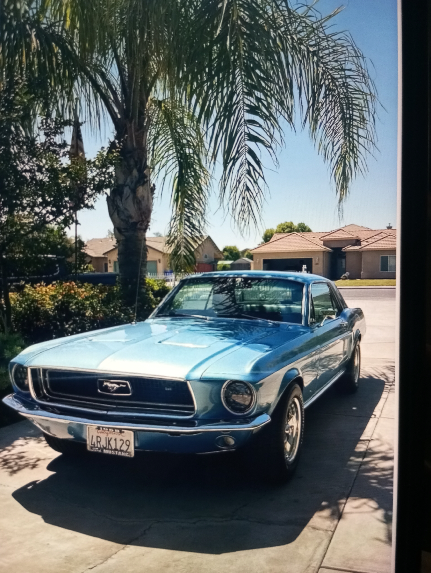 Vintage Mustang, cats, and odds and ends in Zahorna