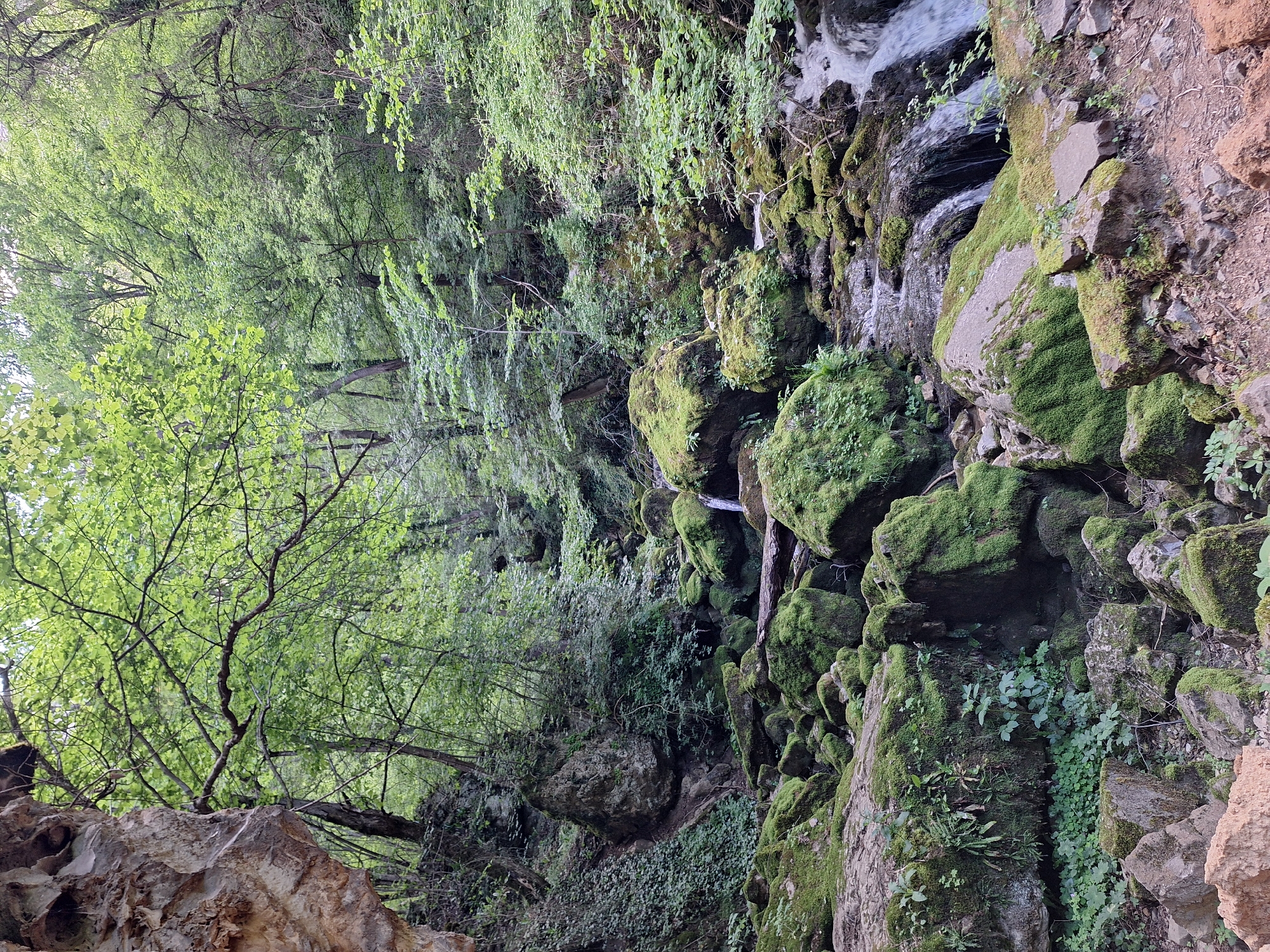 Forest stream with waterfall documented by visitors in Zasele Bulgaria