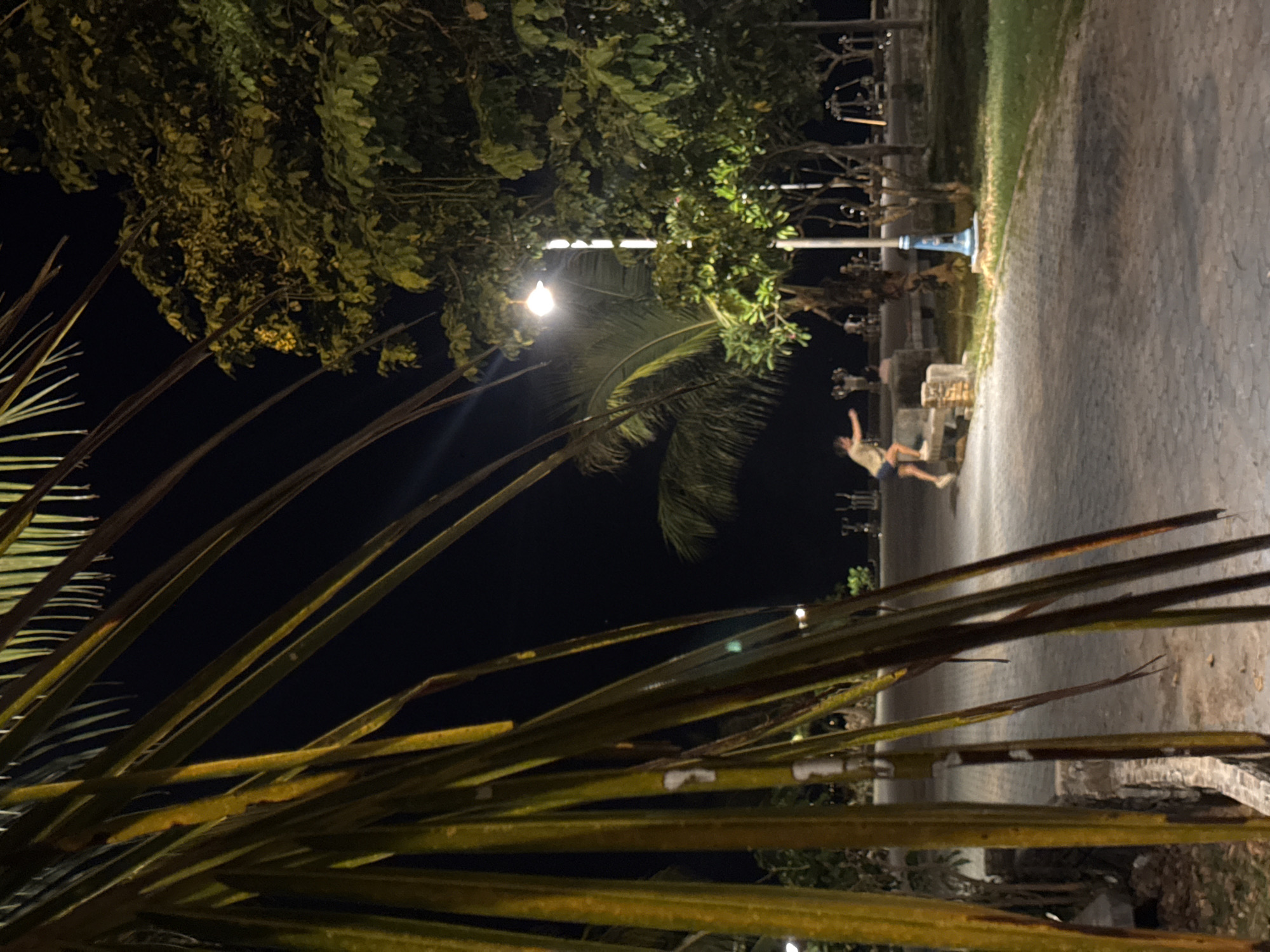 Evening activity along Koh Phangan's waterfront promenade