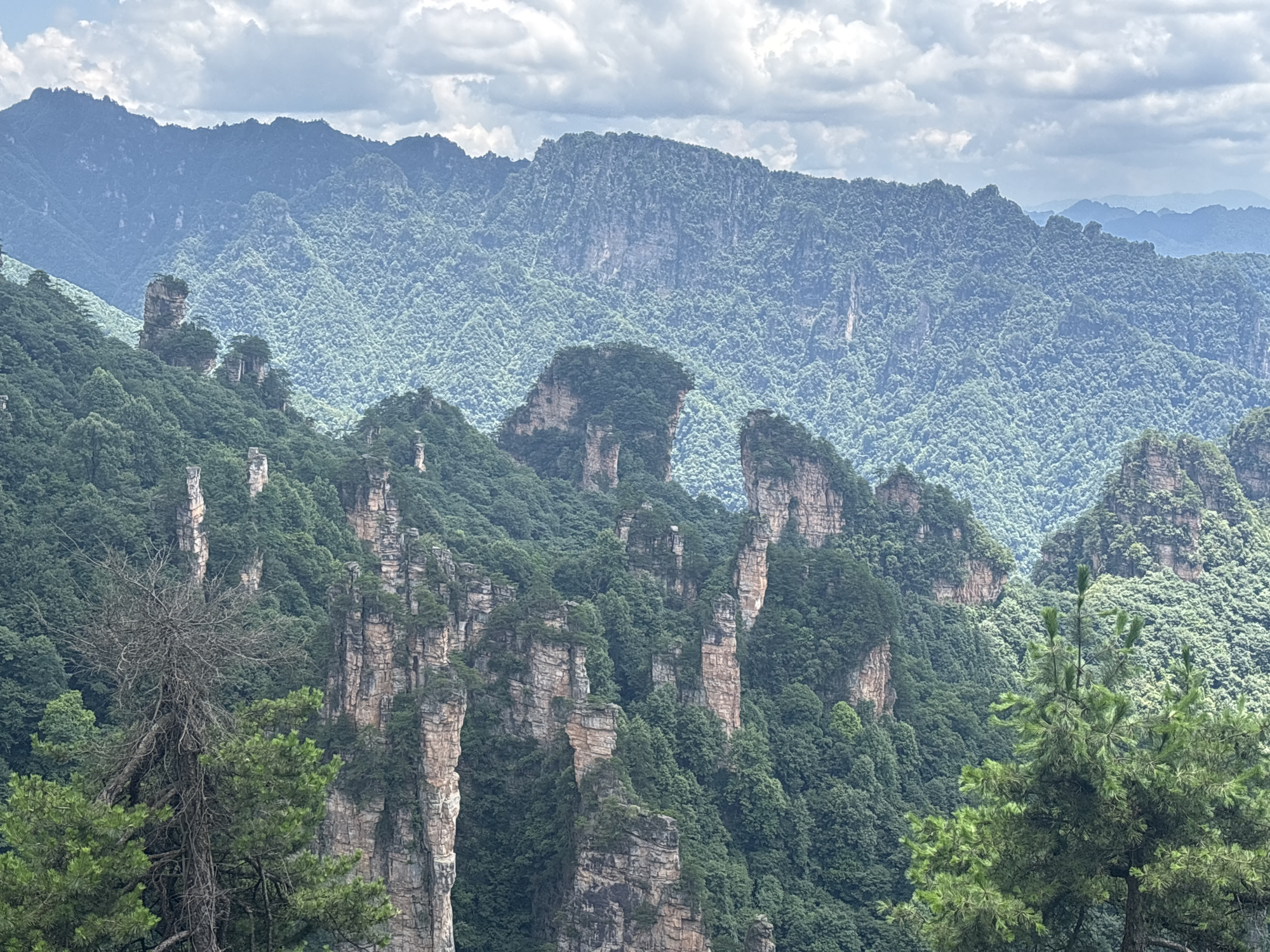Zhangjiajie's iconic sandstone pillars stretch across Wulingyuan