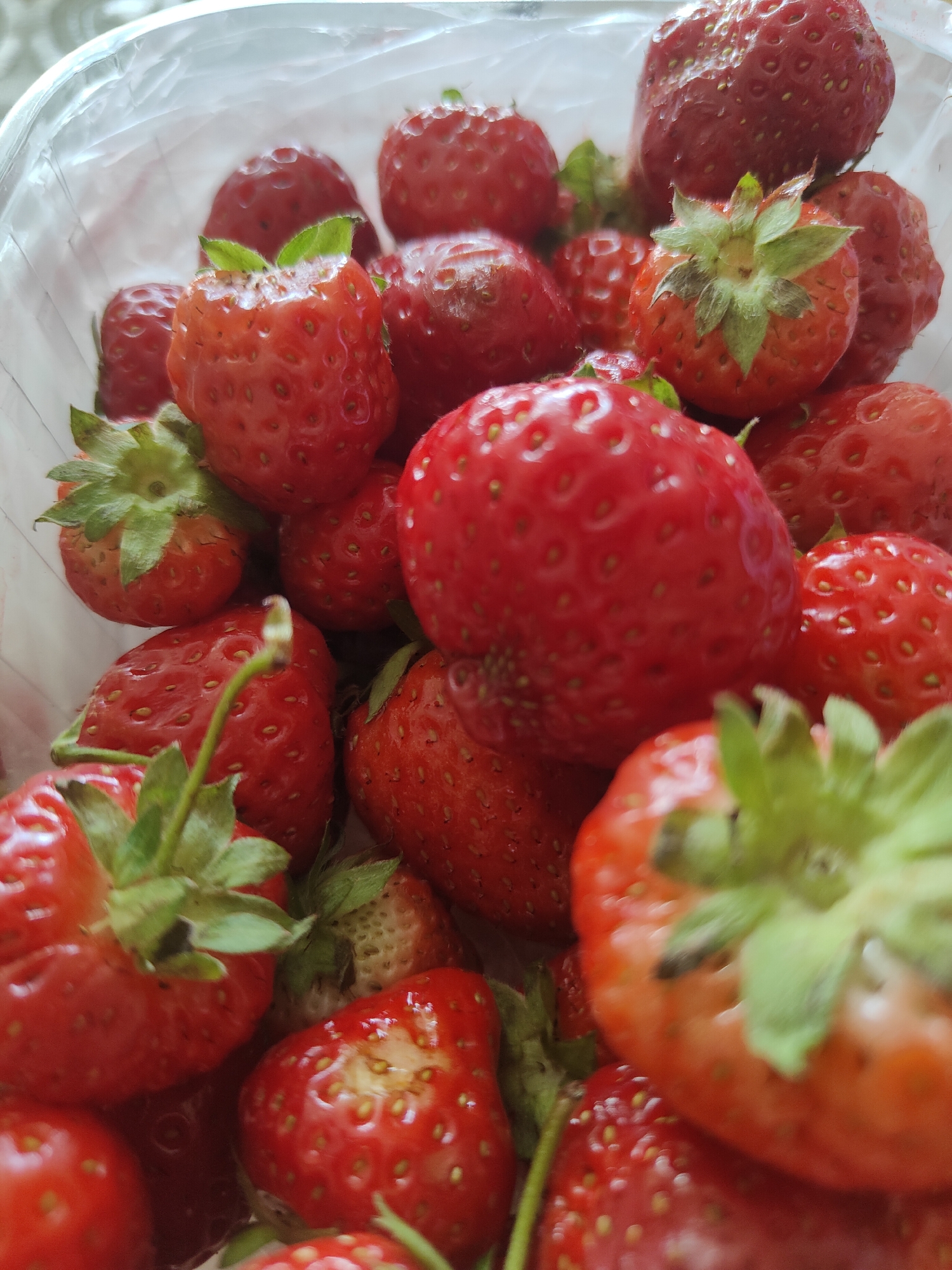 Fresh strawberries and a Yorkie puppy in close-up shots