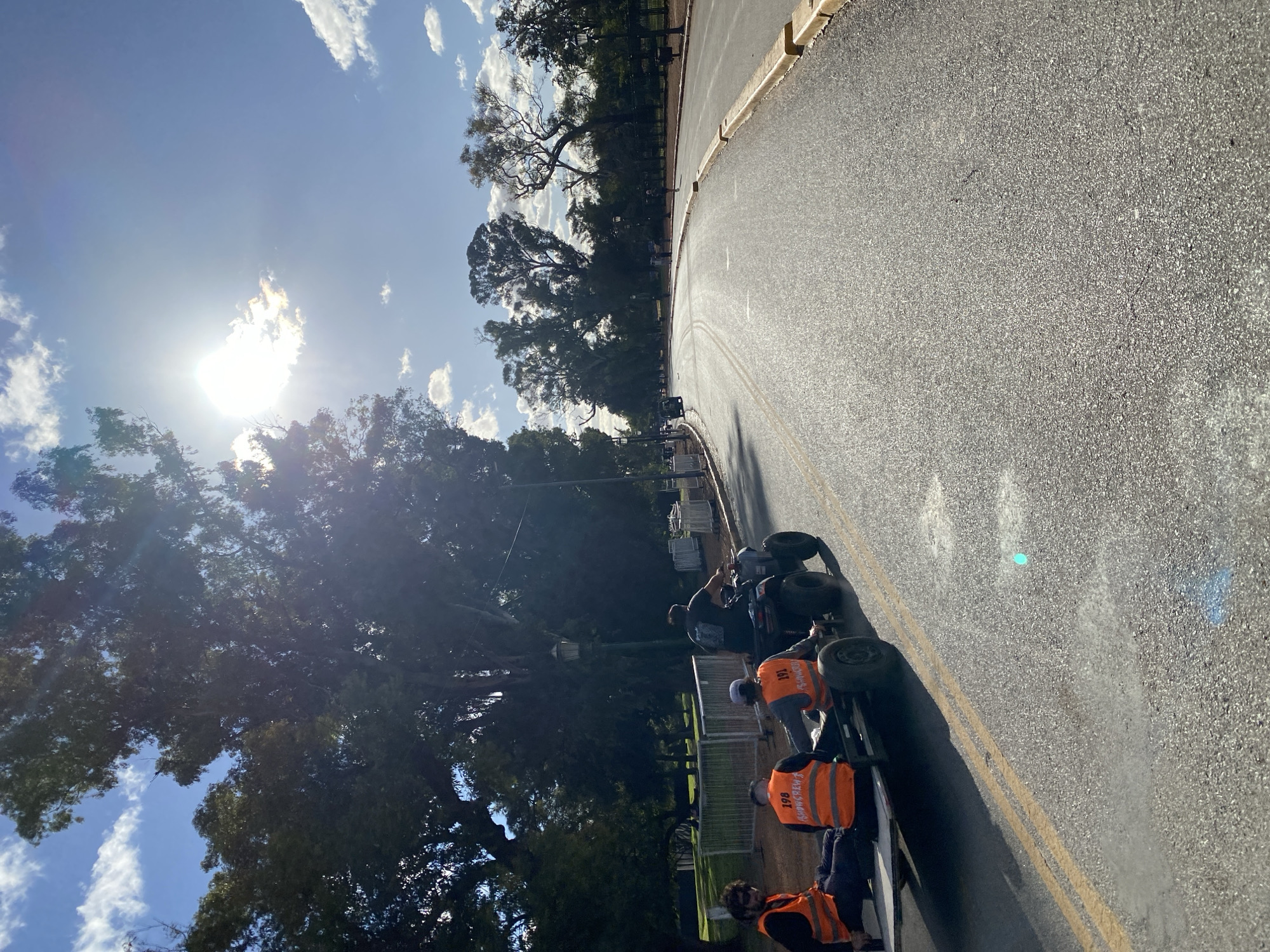 Cyclist with dog rides through sunny Buenos Aires streets