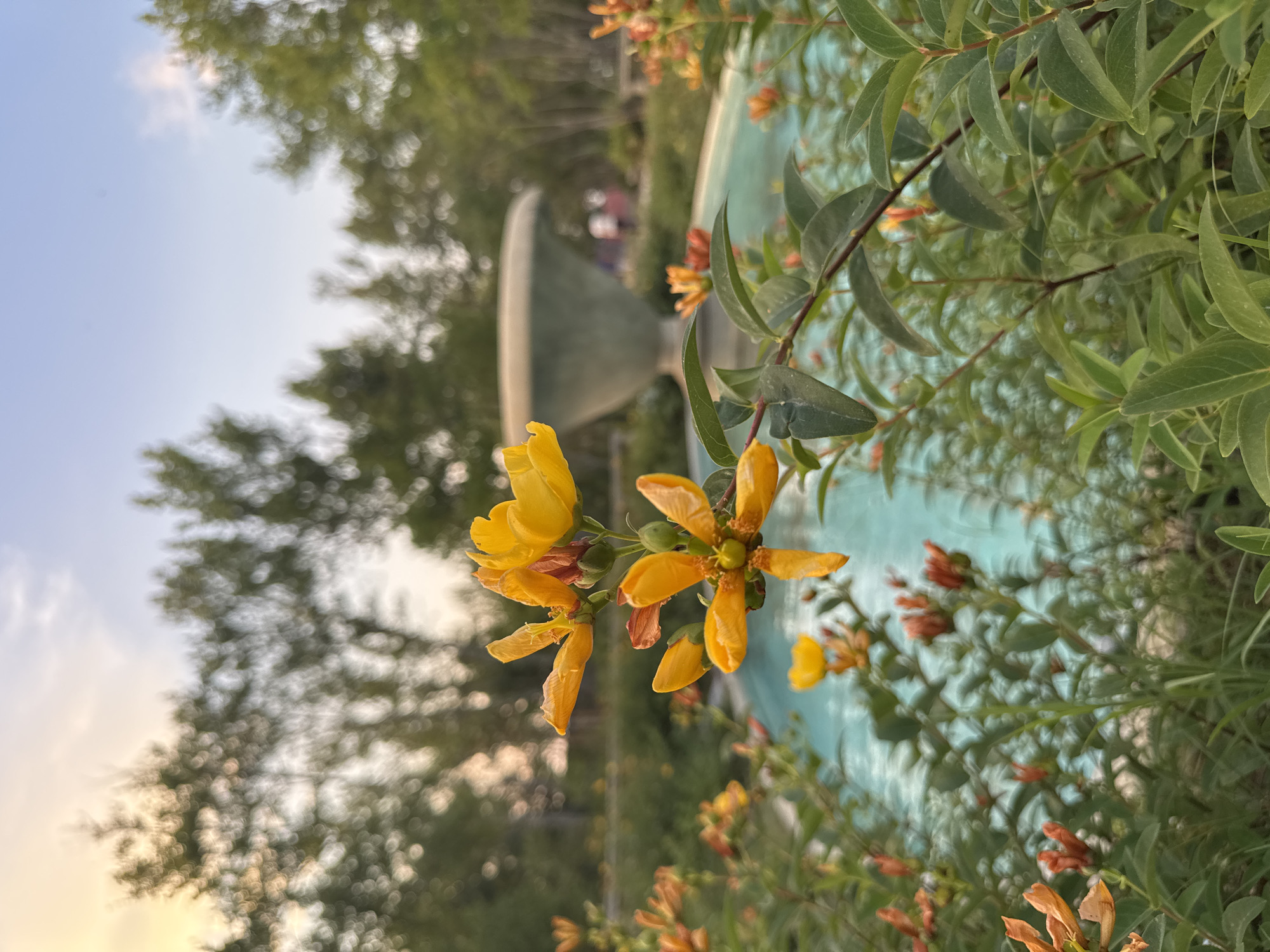 Evening stroll through Castelo Branco's historic streets and gardens