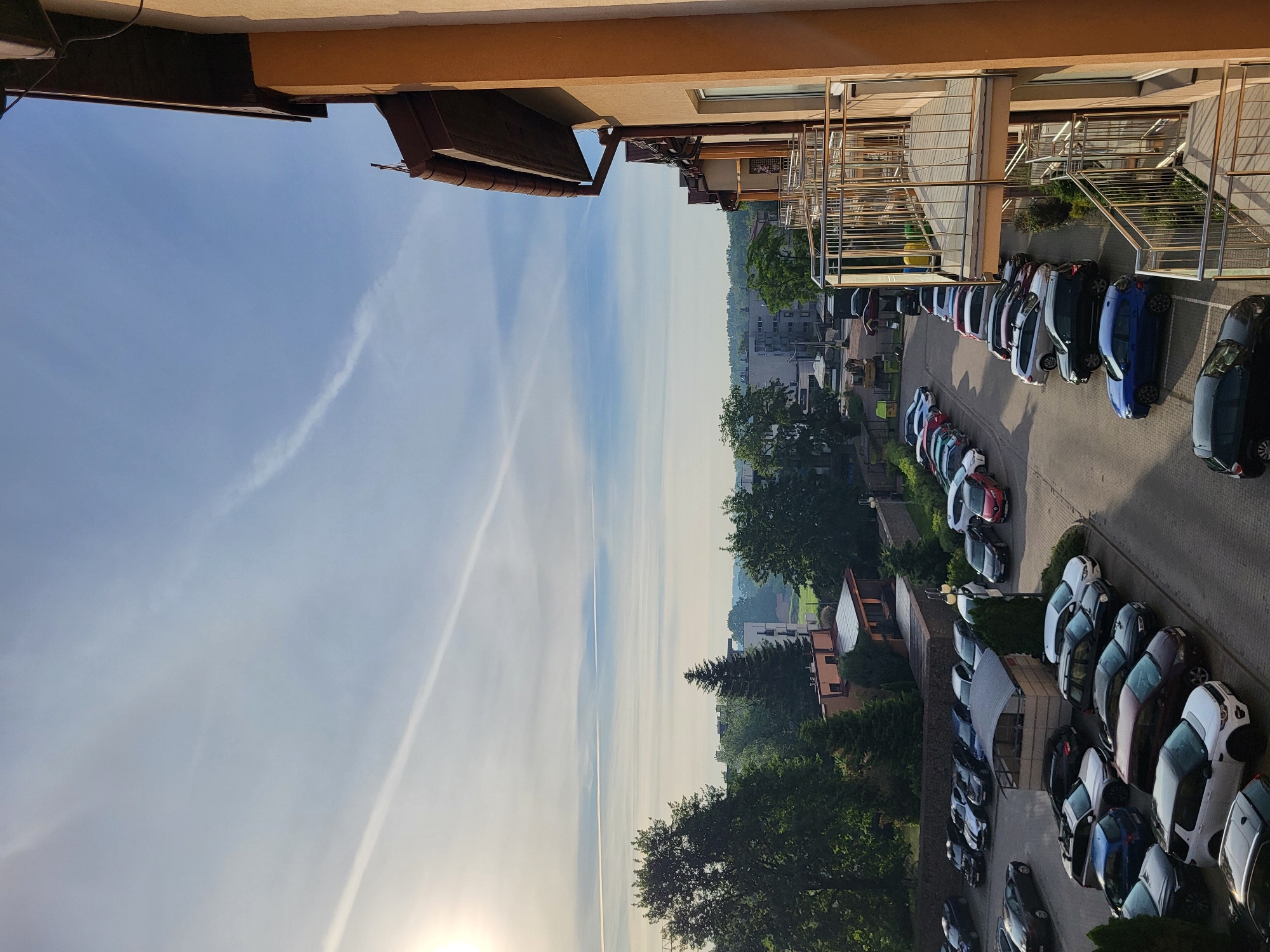 Morning residential life documented: cats, parking lots, sunny skies