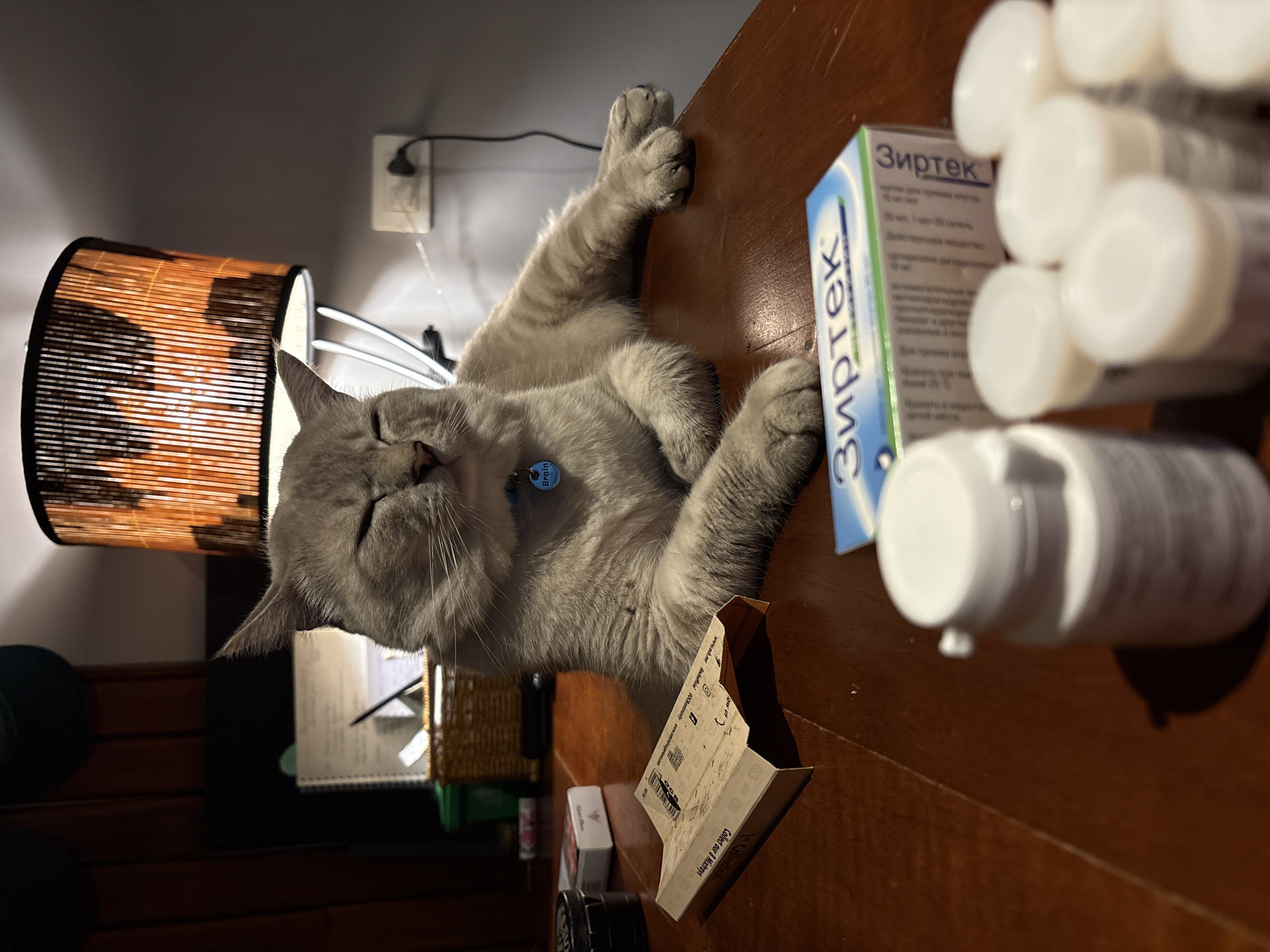 Cat named Brain and a salon visit in Choeng Thale