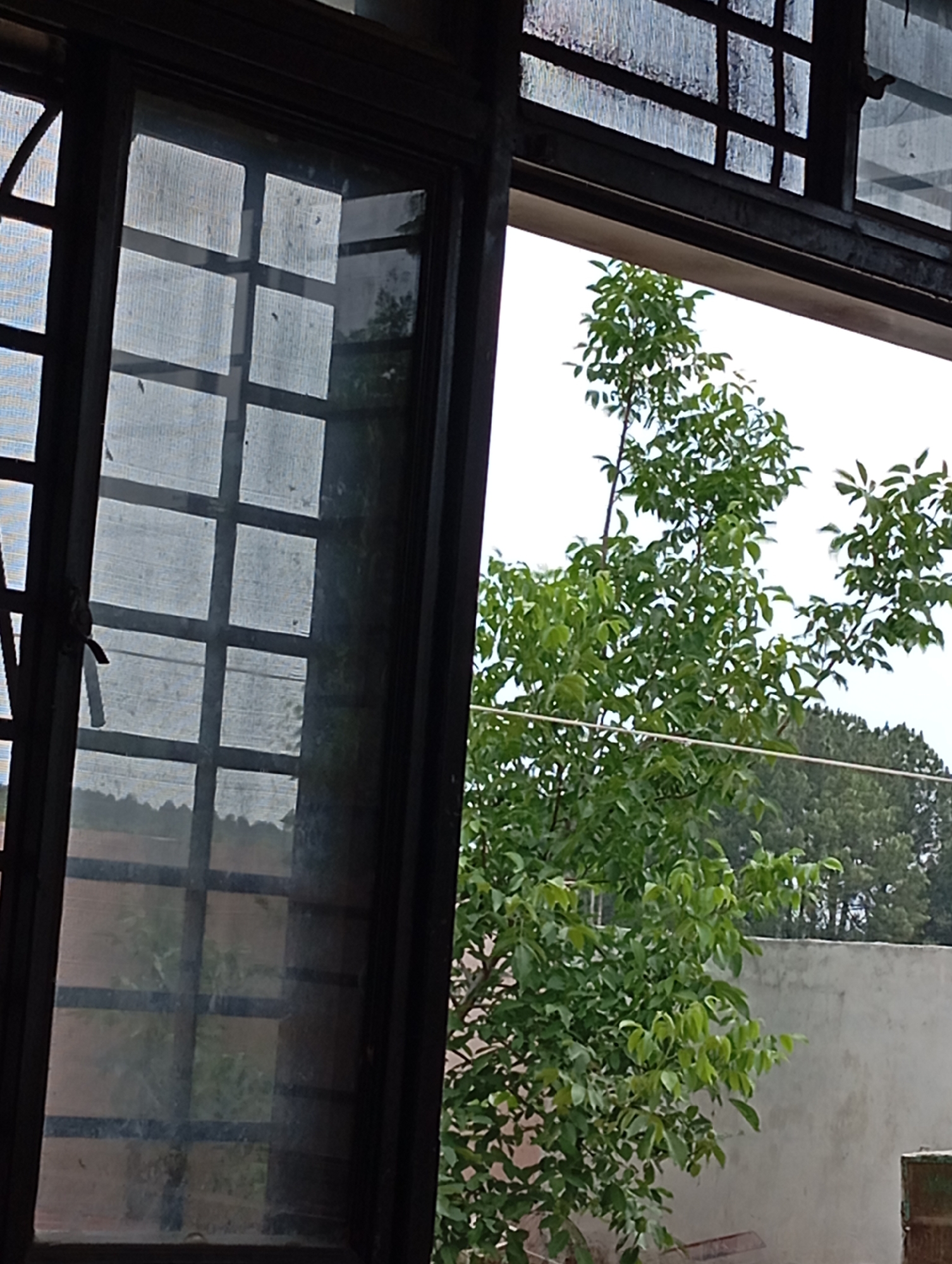 Witness documents ordinary domestic life over morning hours