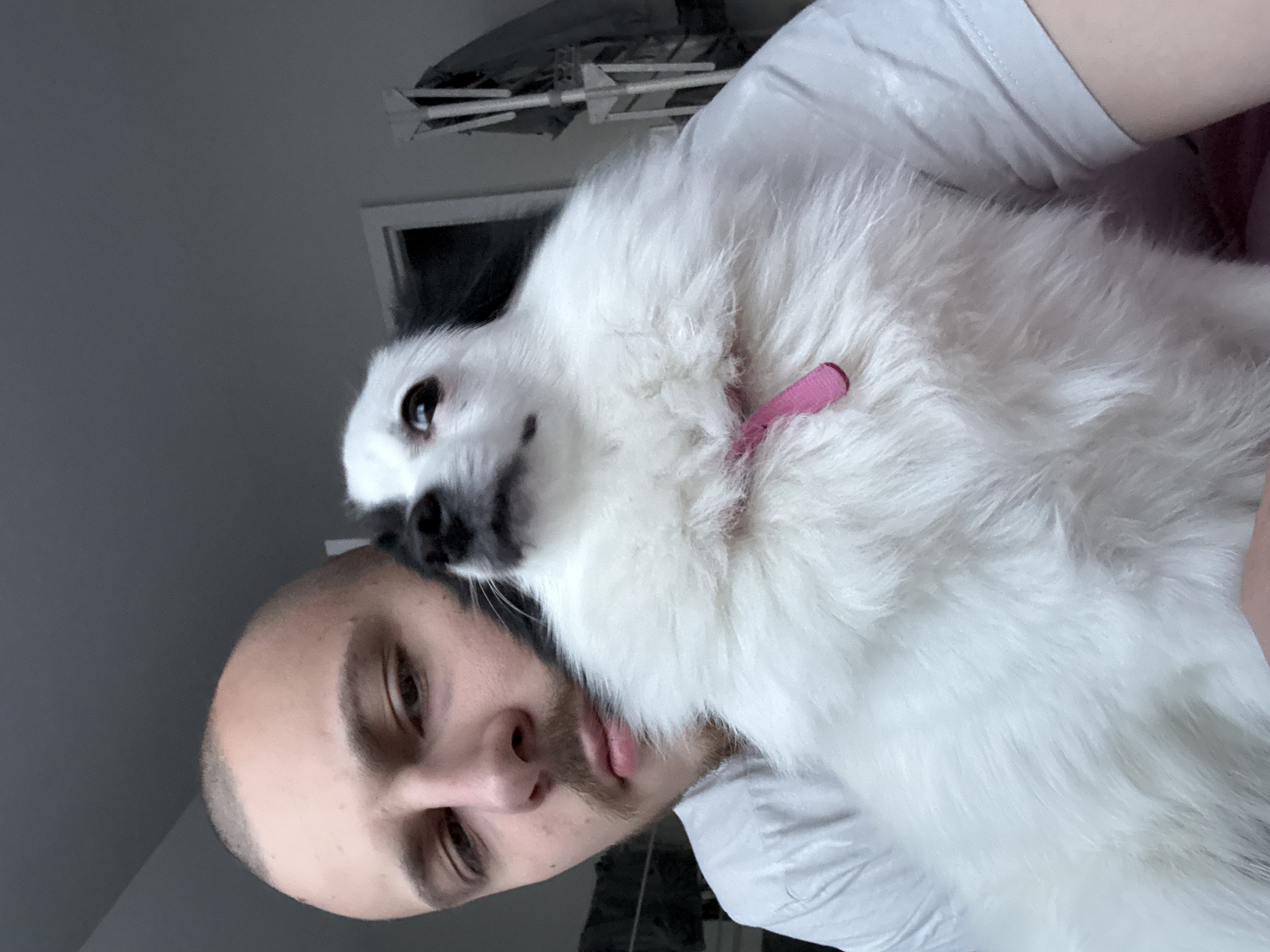 Man documents leisurely afternoon with pet dog in Bulgaria