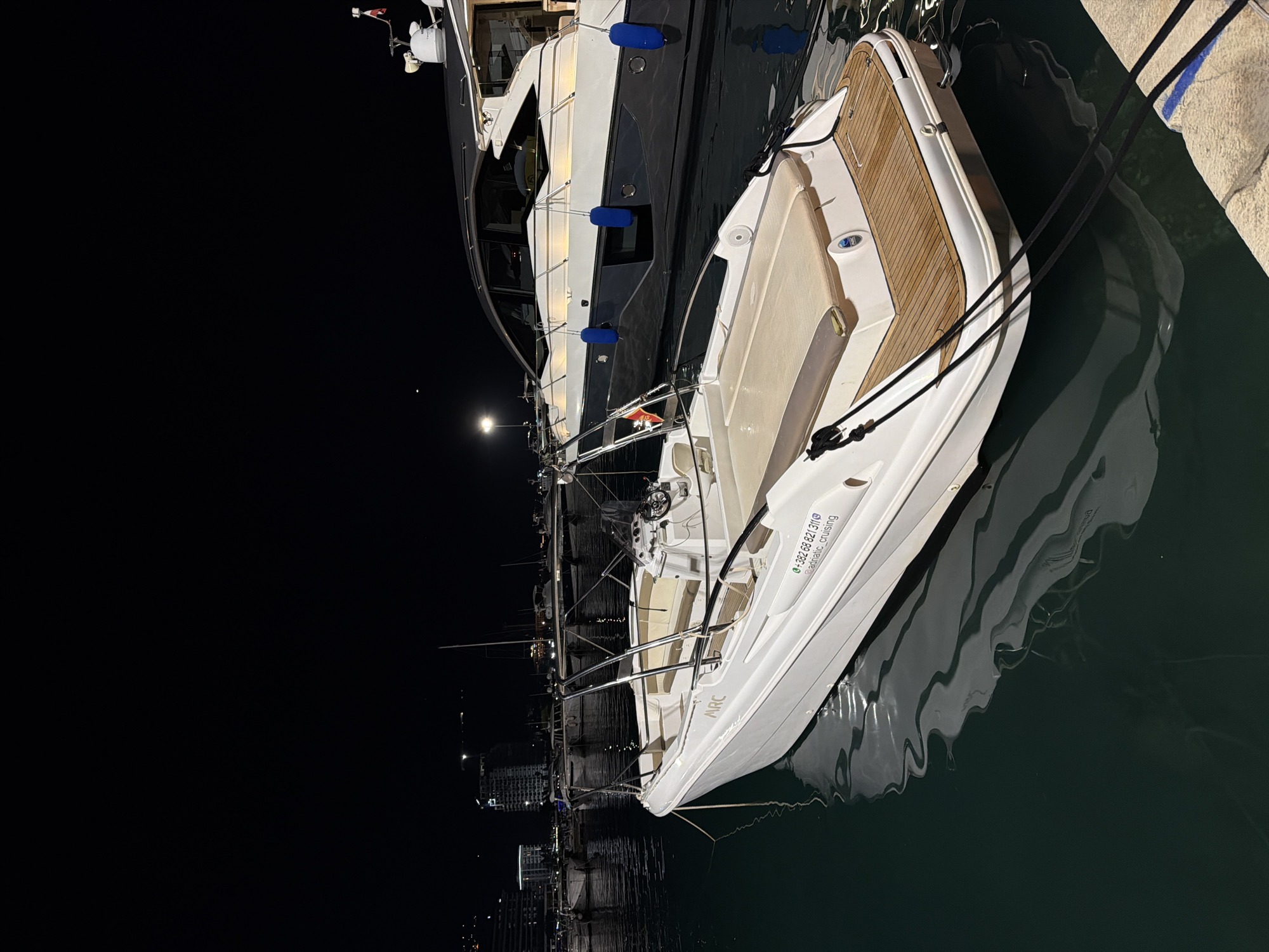 Cats and boats at Budva marina on a summer night