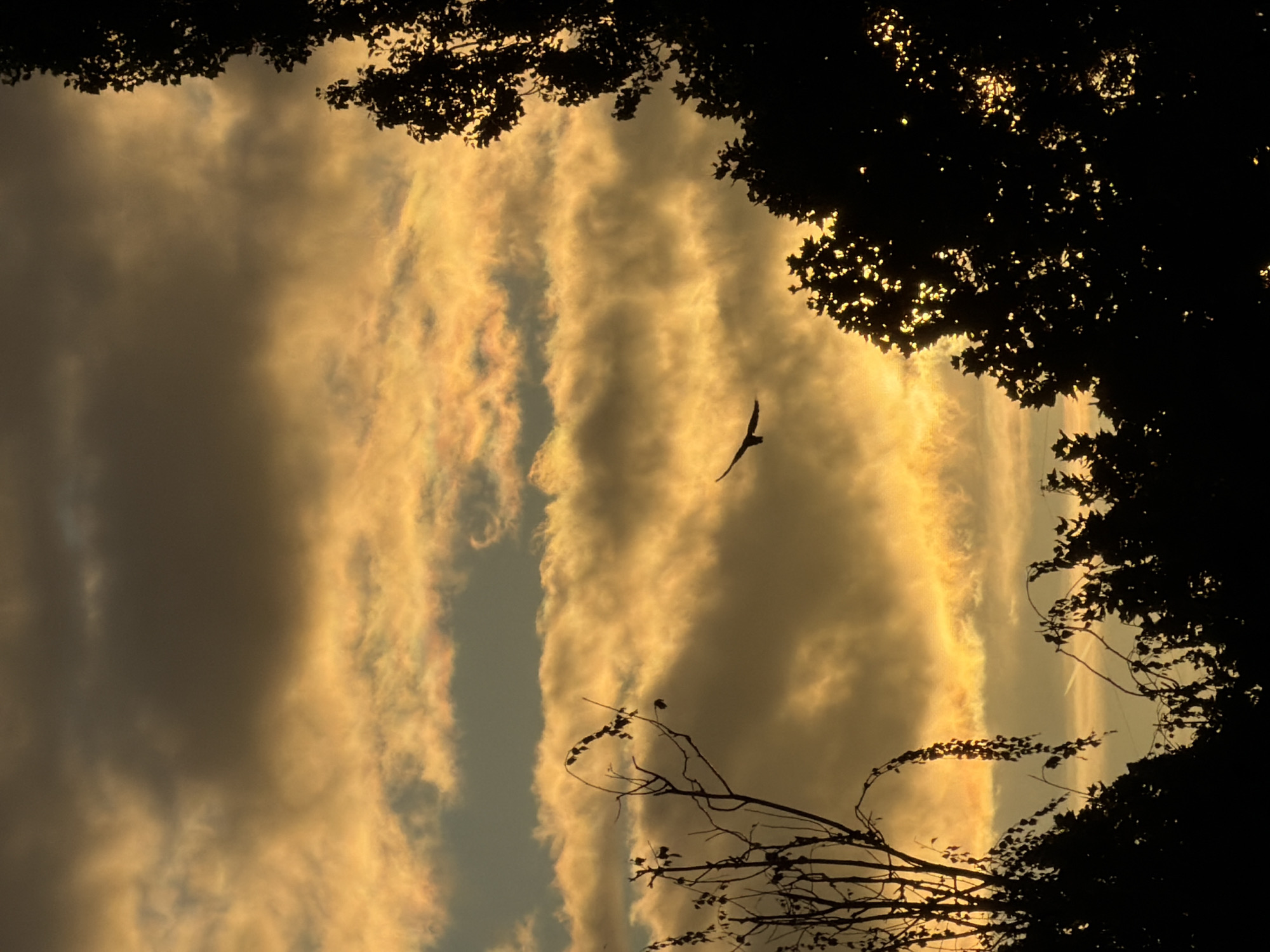 Golden sunset clouds over Esch-sur-Alzette skyline