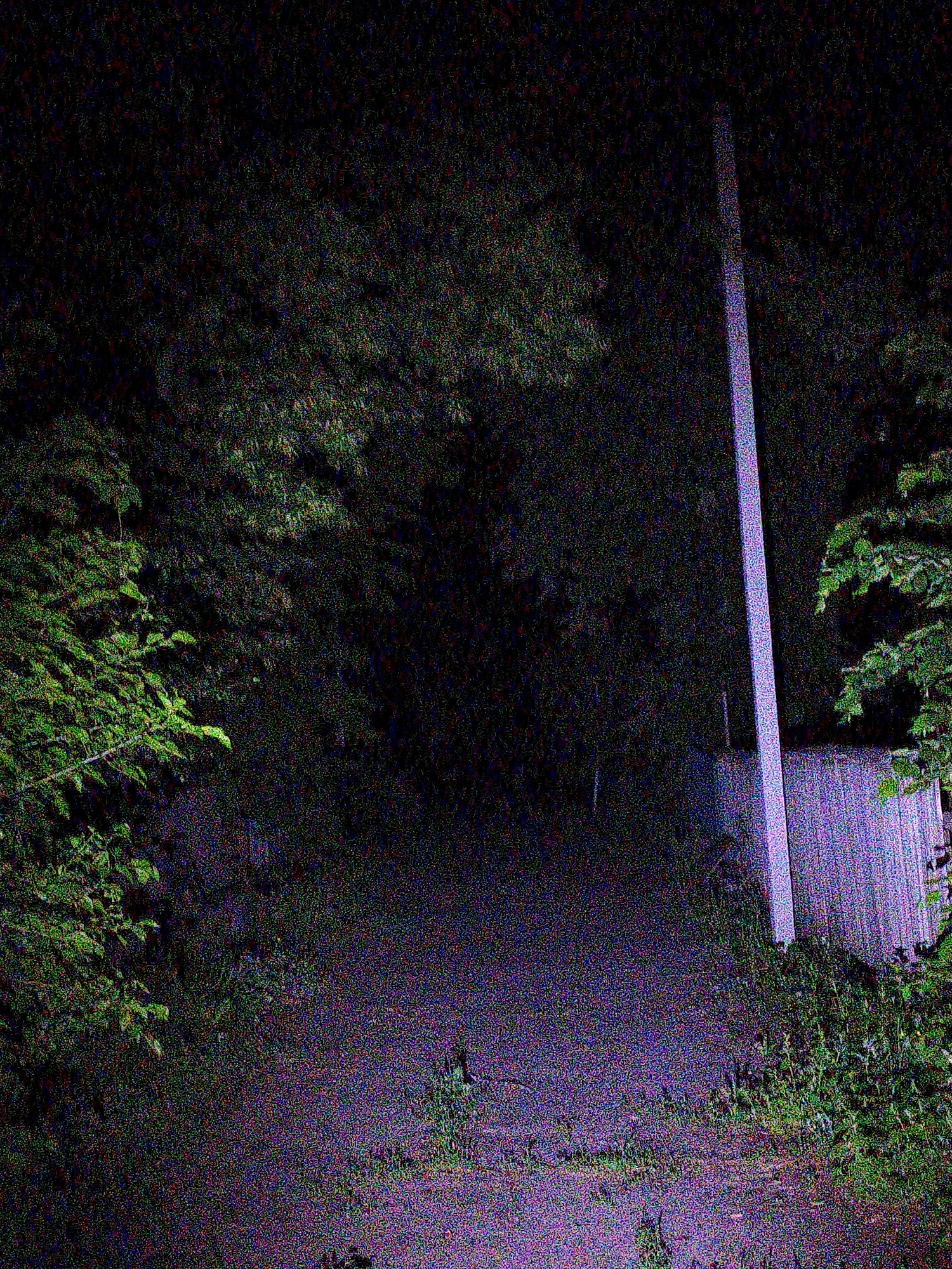 Nighttime rural documentation session captures moon, crops in Ustyvytsia Ukraine