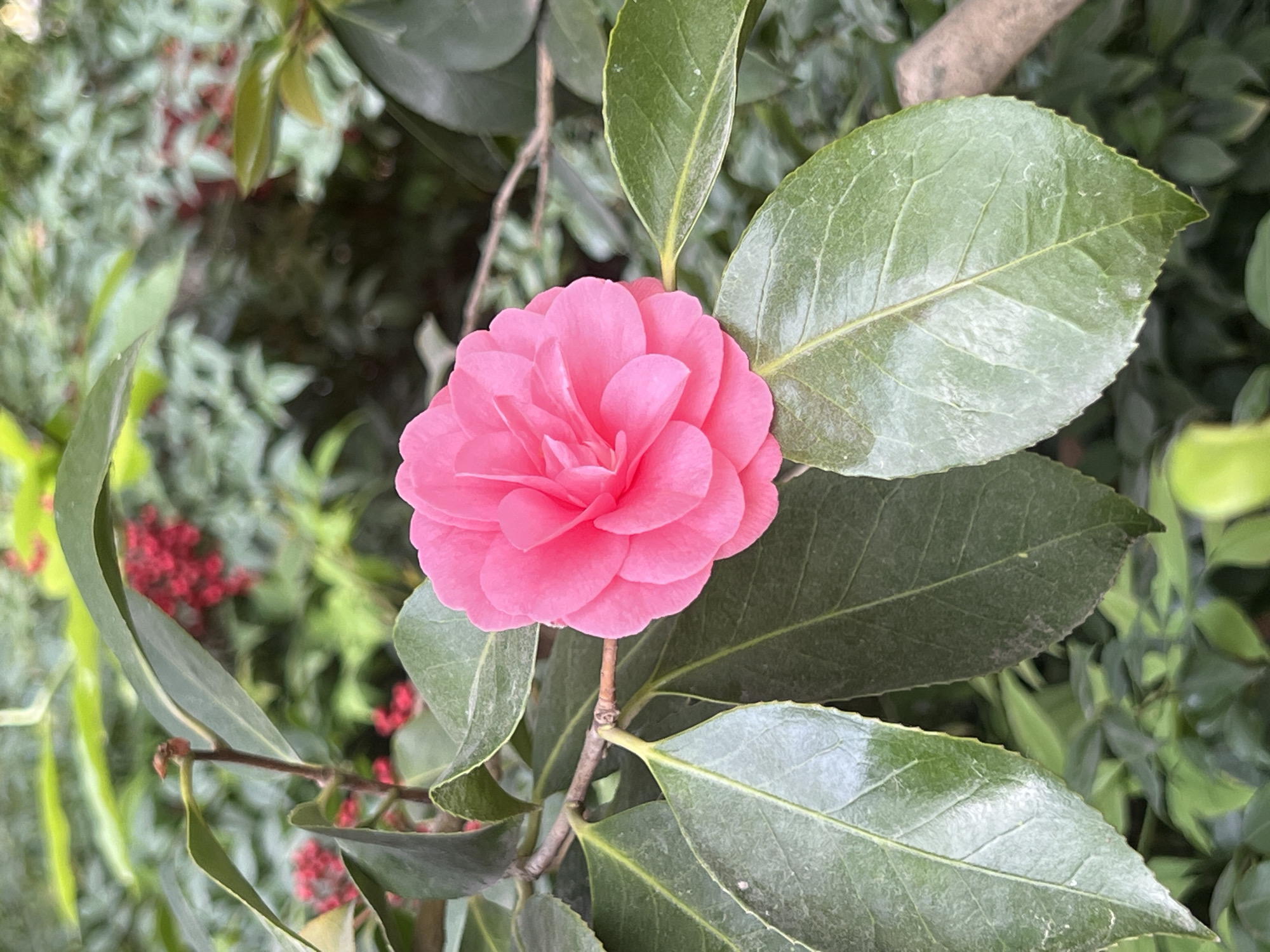 Spring afternoon walking tour captures Paris parks and monuments
