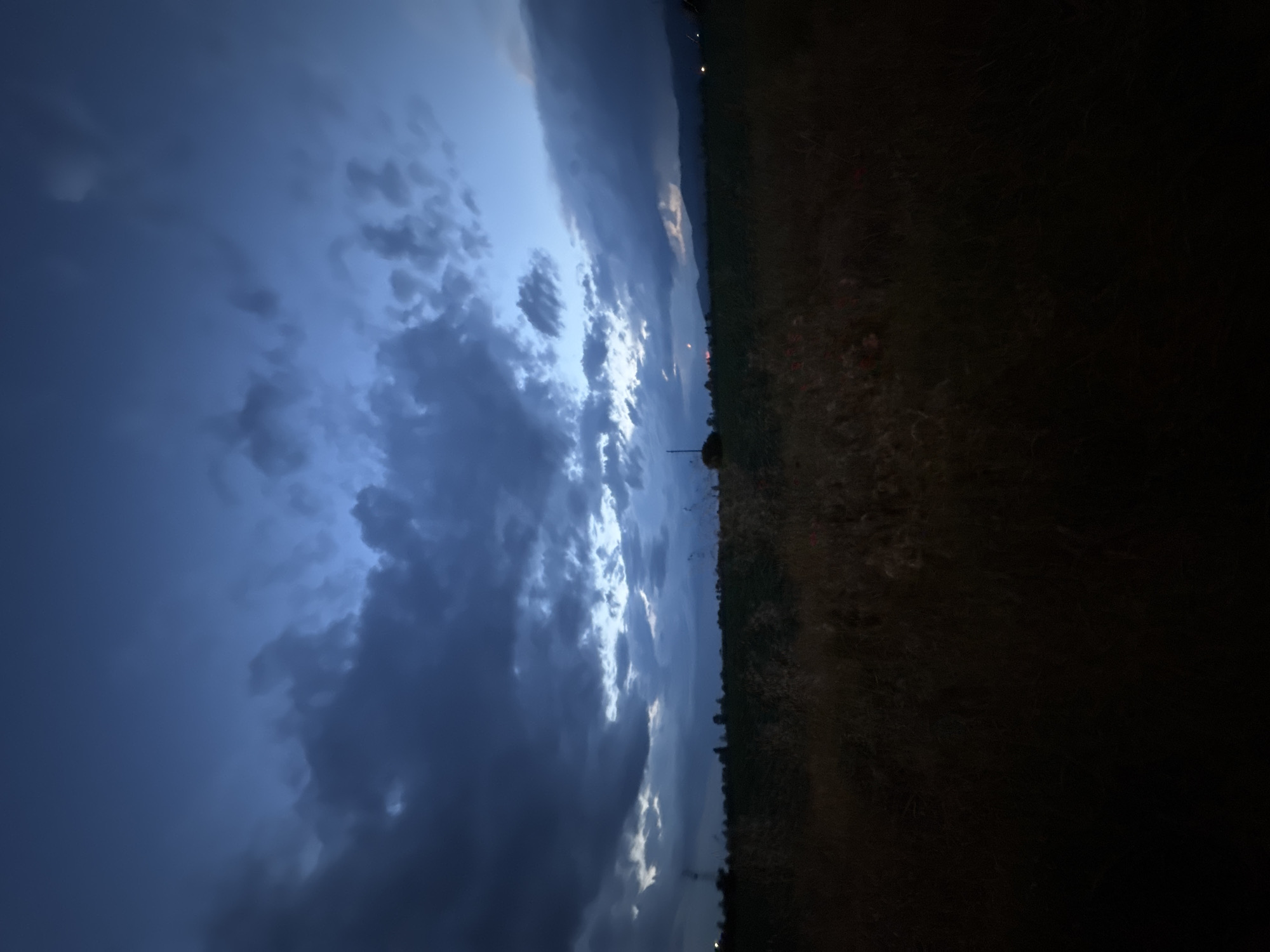 Evening storm and street dog documented in Yana, Bulgaria