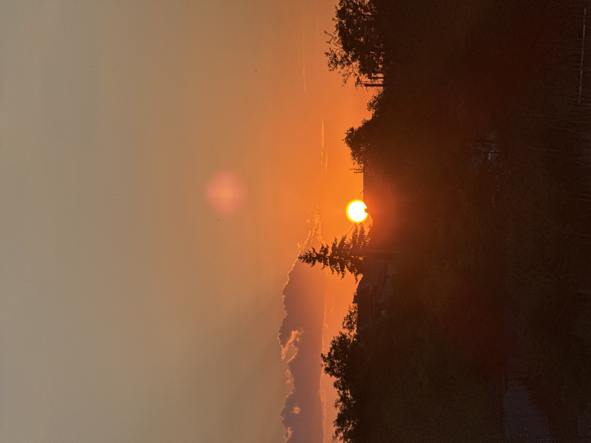 Sunset and a curious kitten in rural Bulgaria