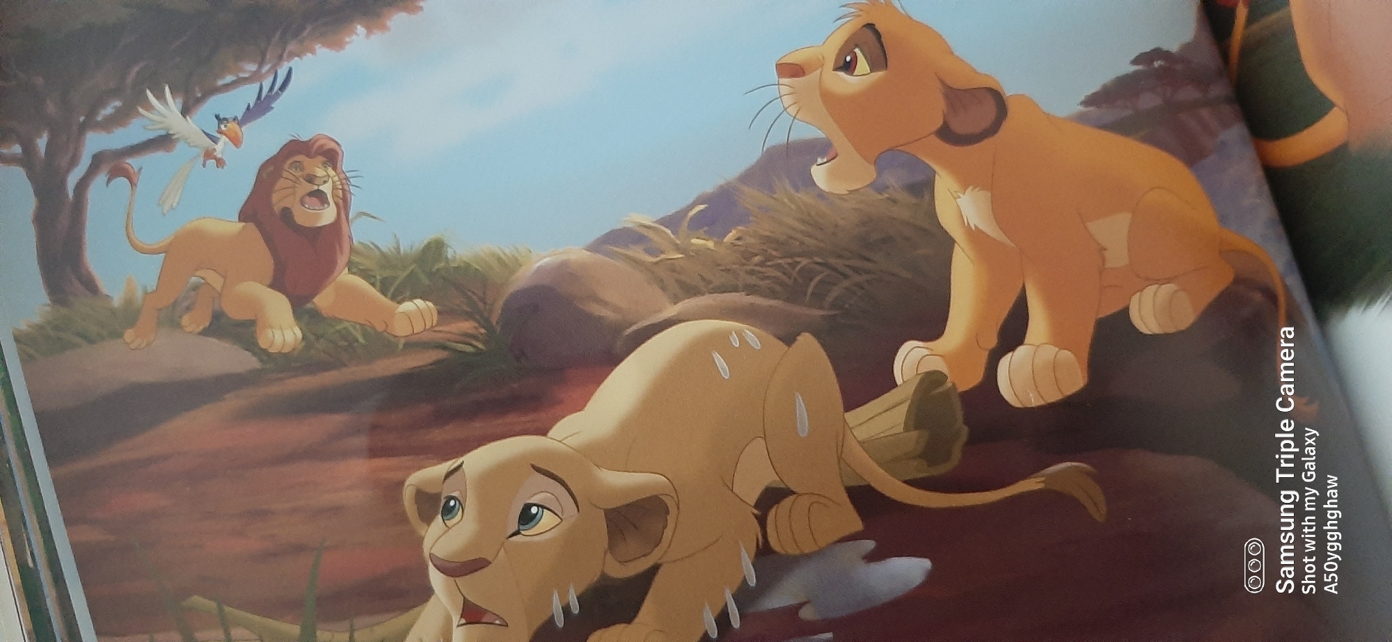 Dubai witness documents children's book illustrations over three hours