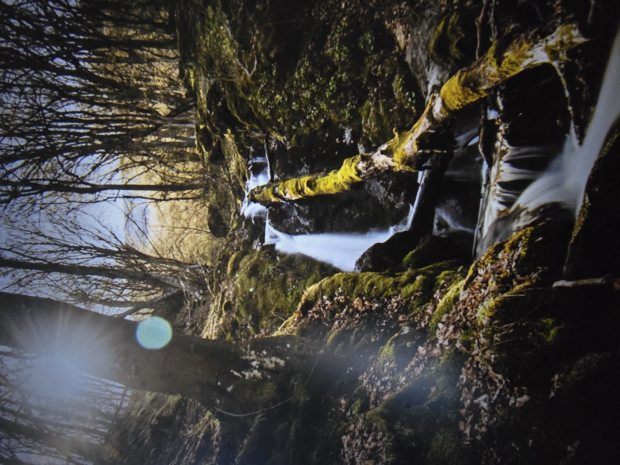 Mixed outdoor and intimate scenes documented in 30-minute span