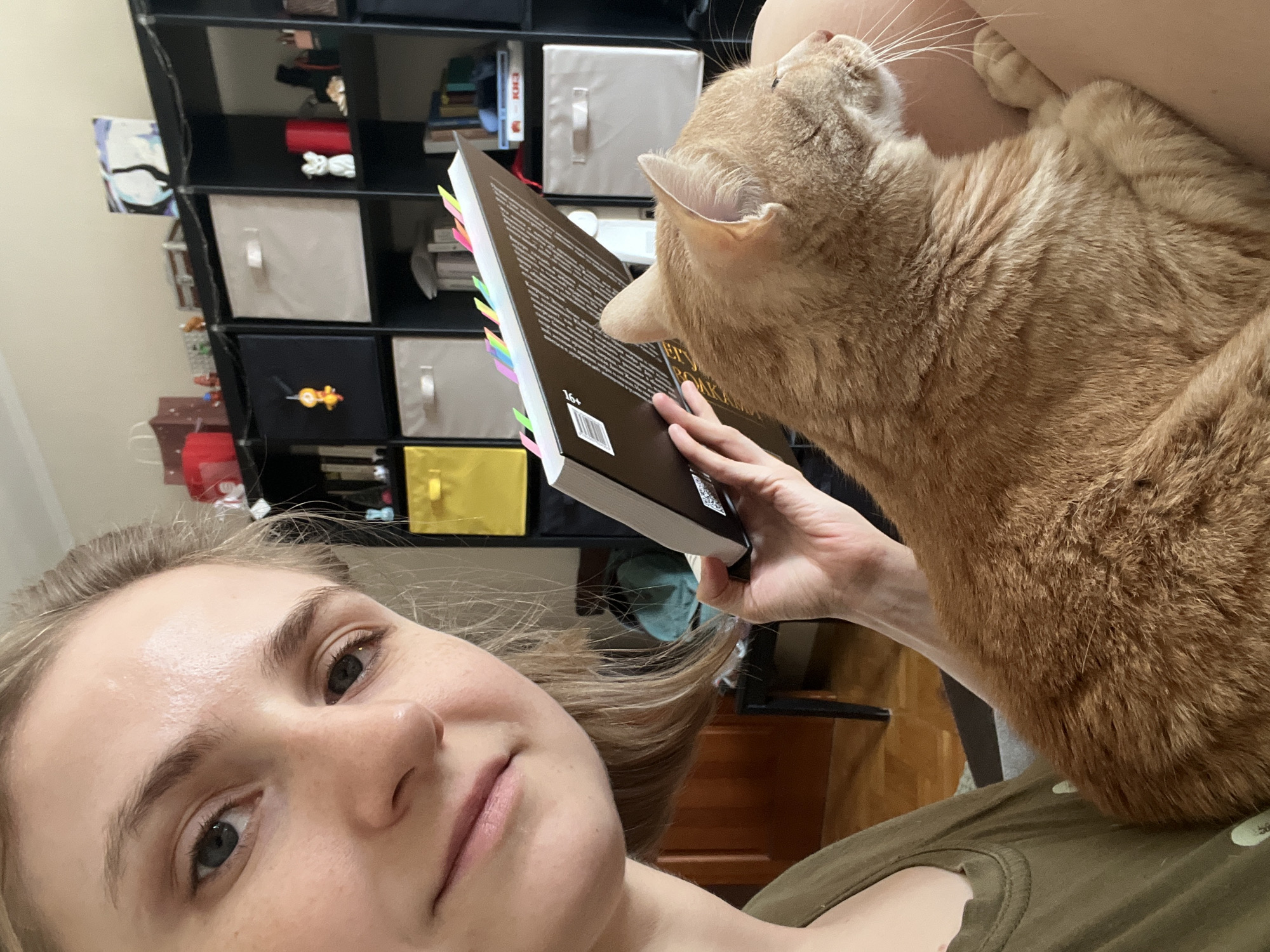 Sunday morning with cats and sketching in Novosibirsk