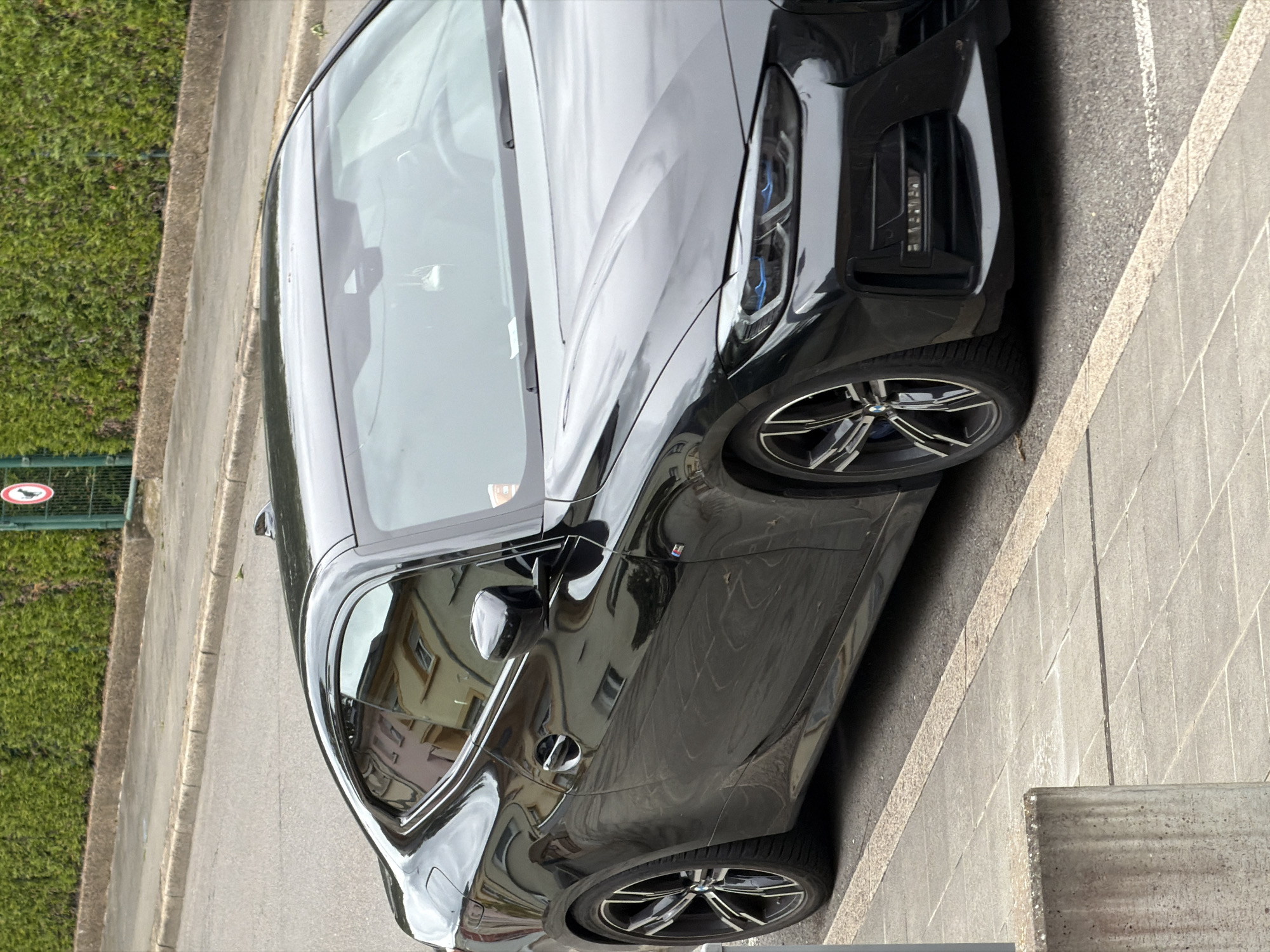 Everyday scenes documented in Esch-sur-Alzette: car, dogs, Portuguese flag