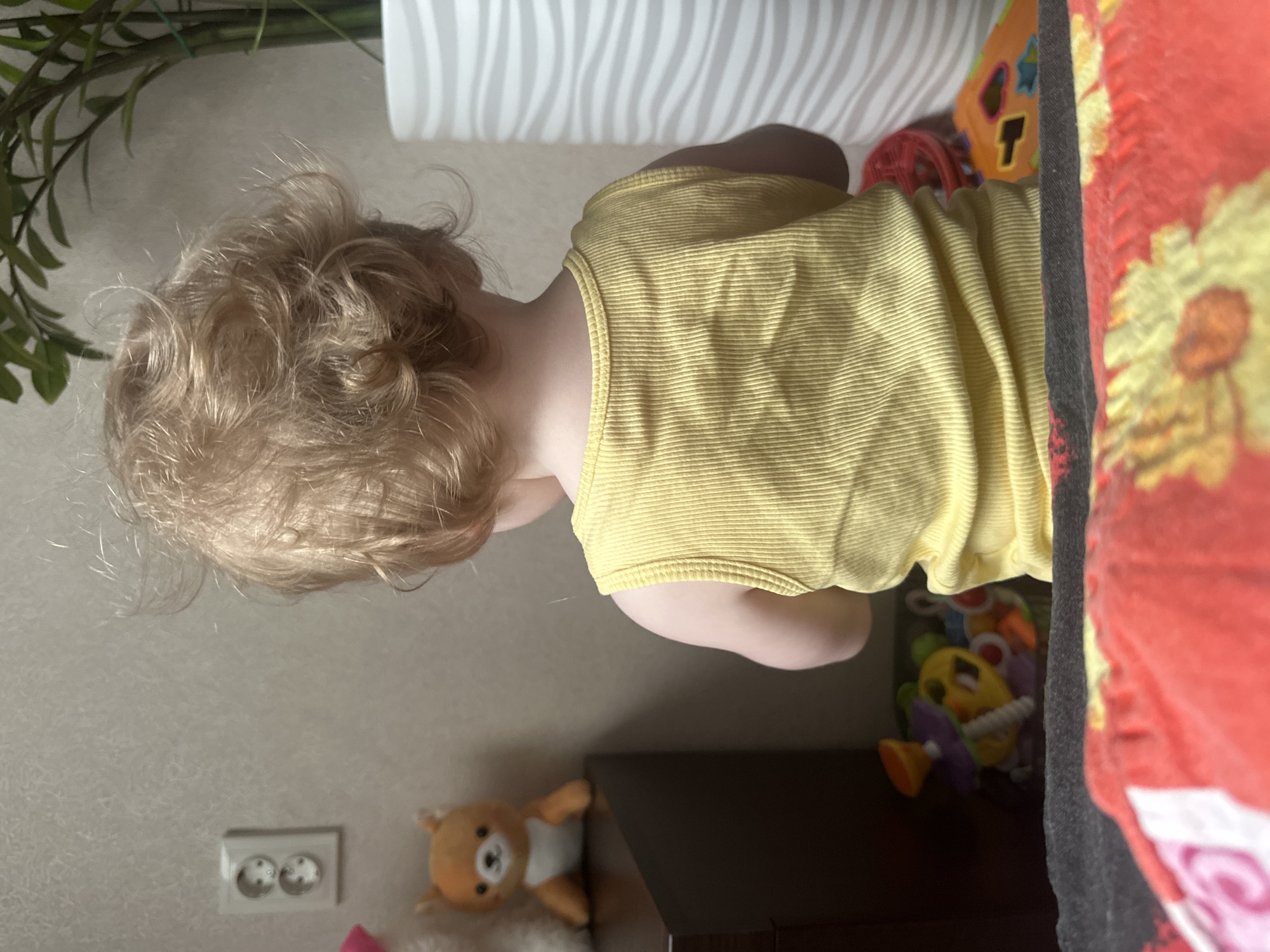 Home life in Sayanogorsk: baby, sleeping dog, windowsill garden