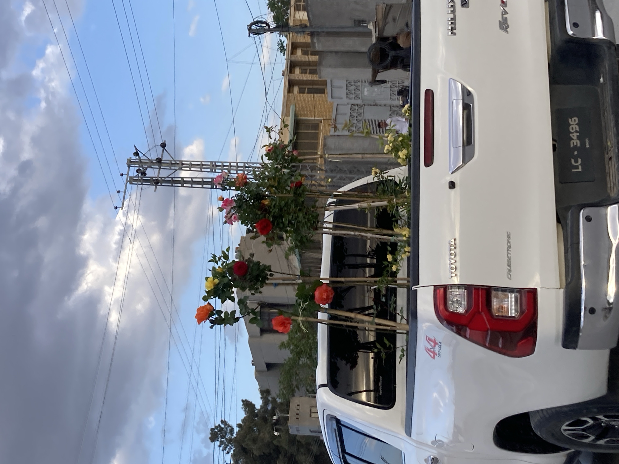 Pickup truck transports flowering plants through Quetta streets