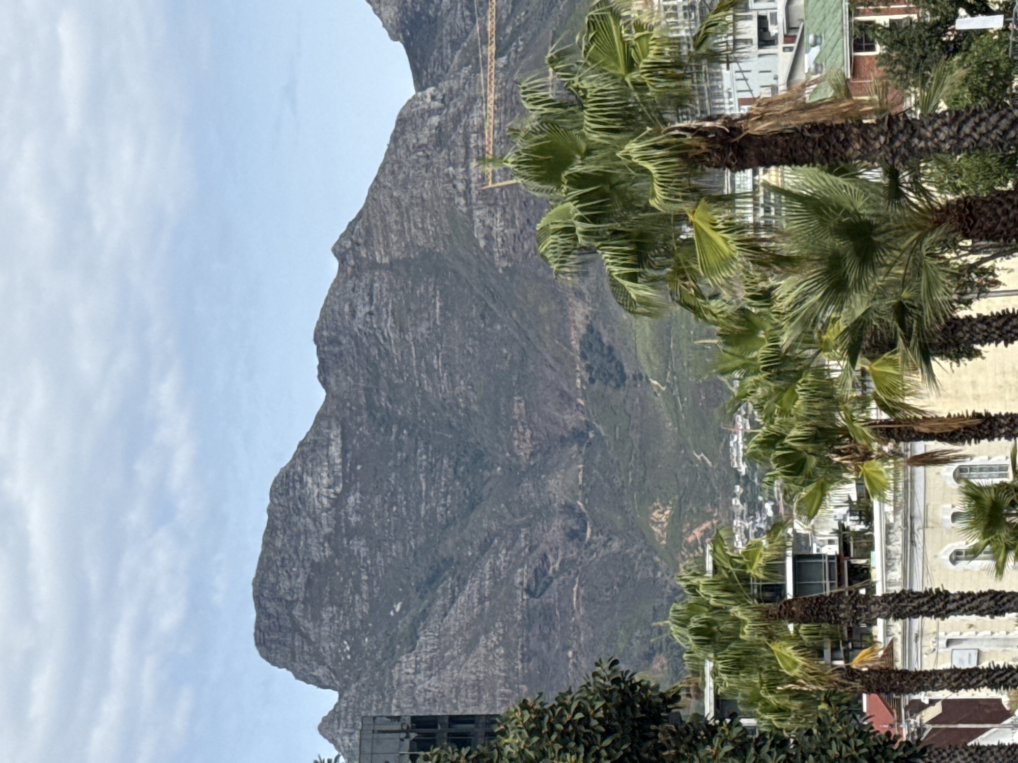 Cape Town visitor documents Table Mountain and harbor views