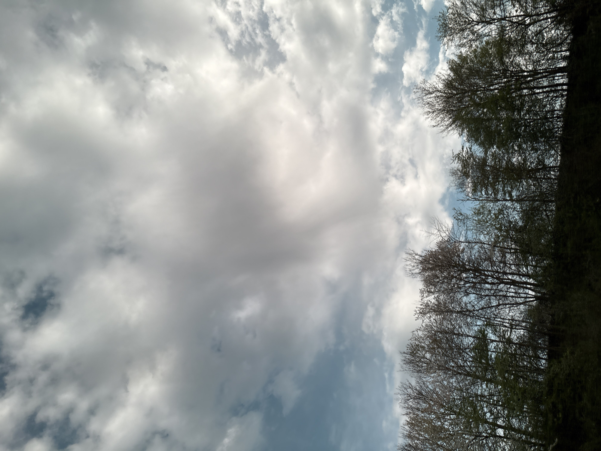 Cloudy sky observed from Mendig, Germany