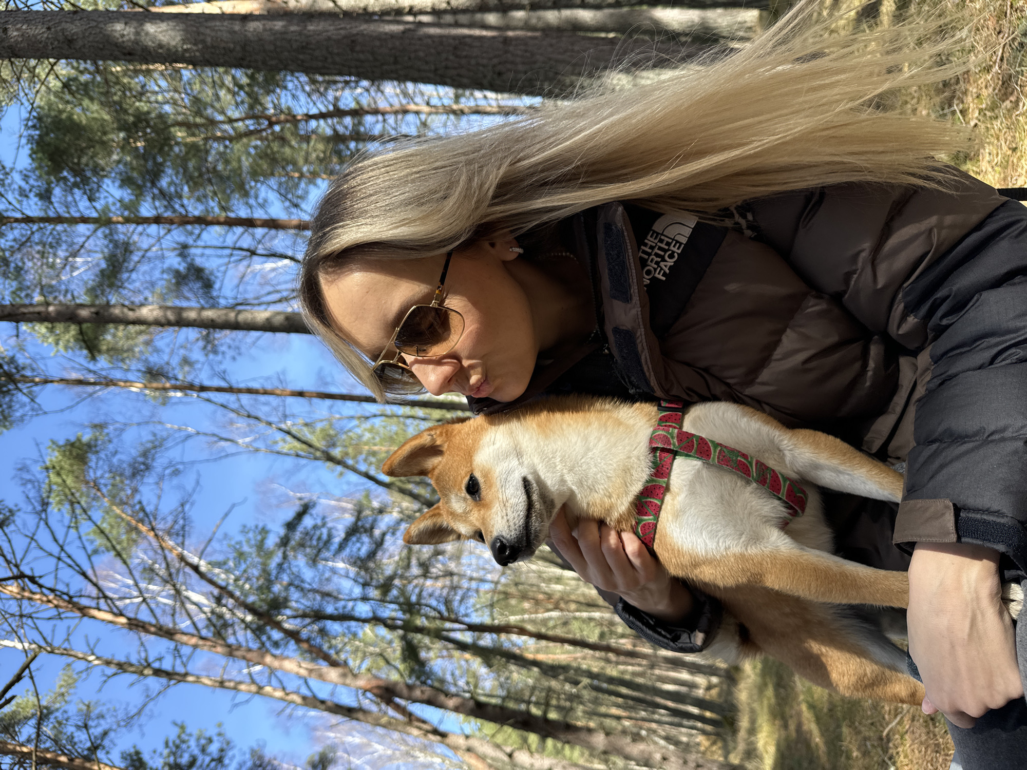 Woman with Shiba Inu dog spotted in Carnikava woods