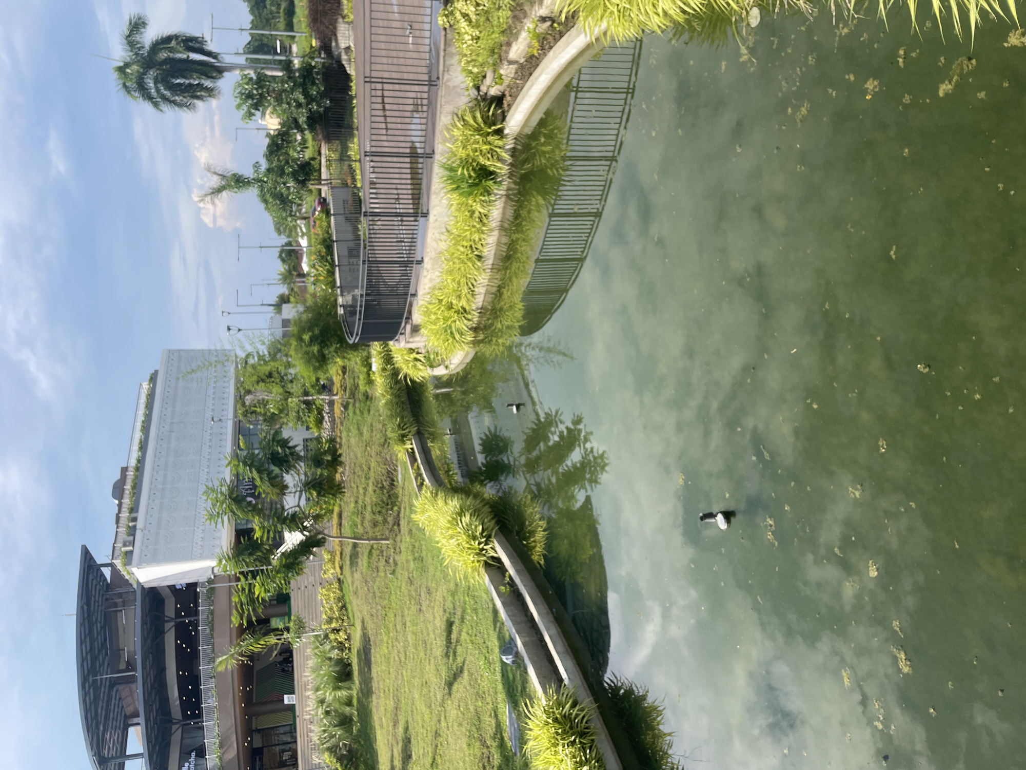 Davao City's Veranda complex and a nearby flower market