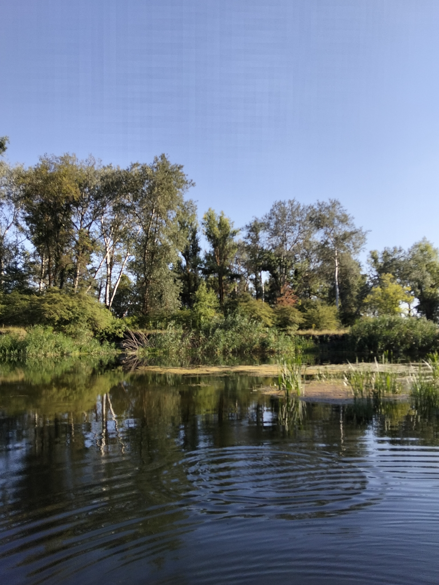 Ustyvytsia, Ukraine