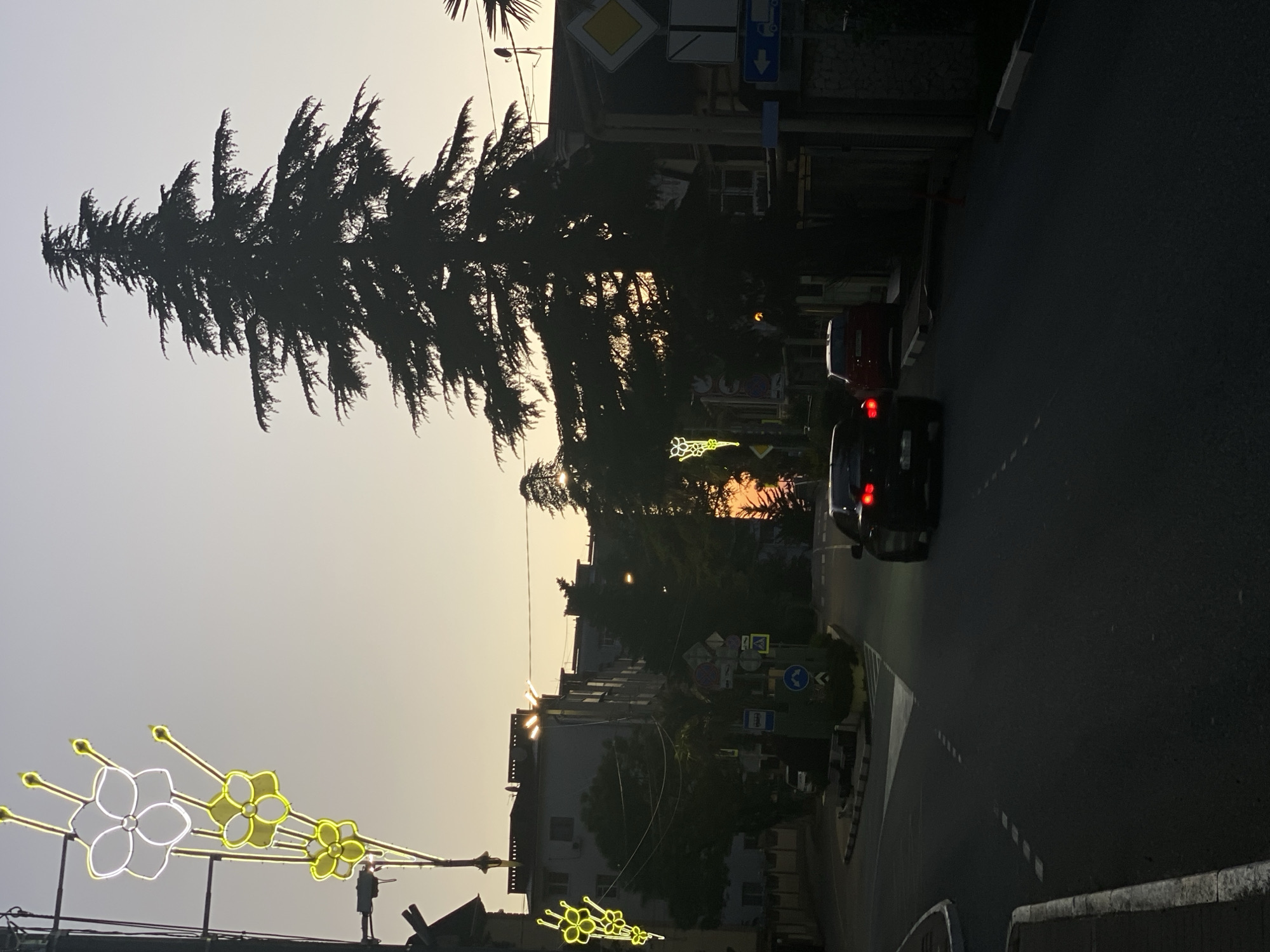 Evening street scenes and university views documented in Sochi
