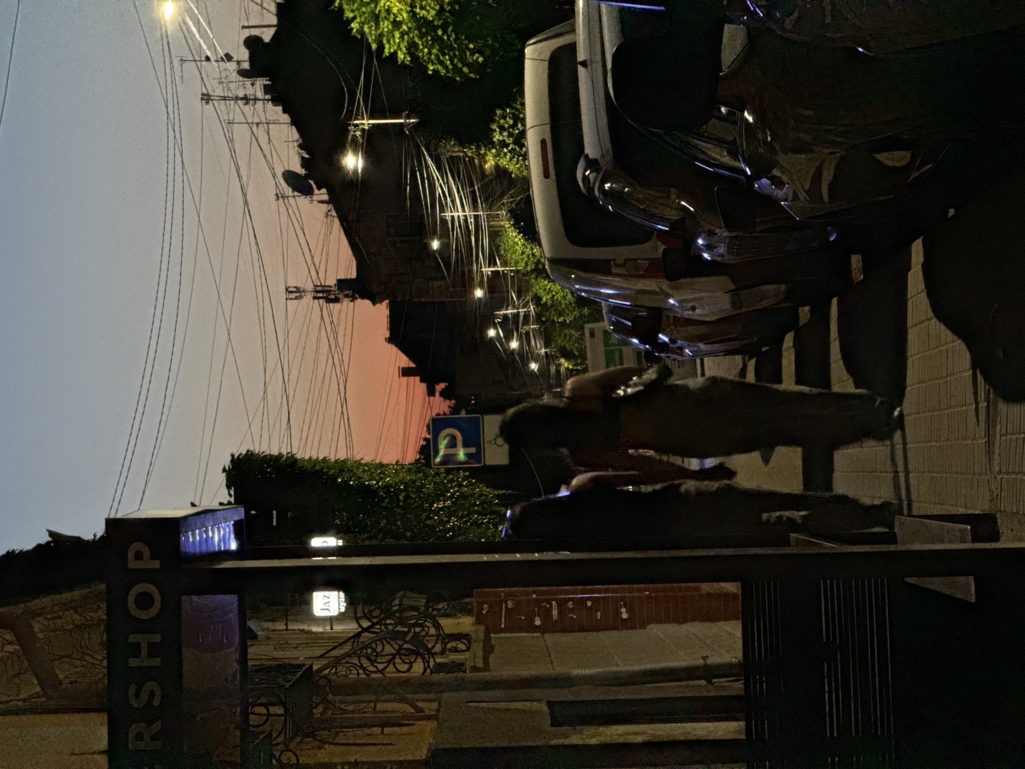 Chernivtsi streets from dusk to night, June 2026