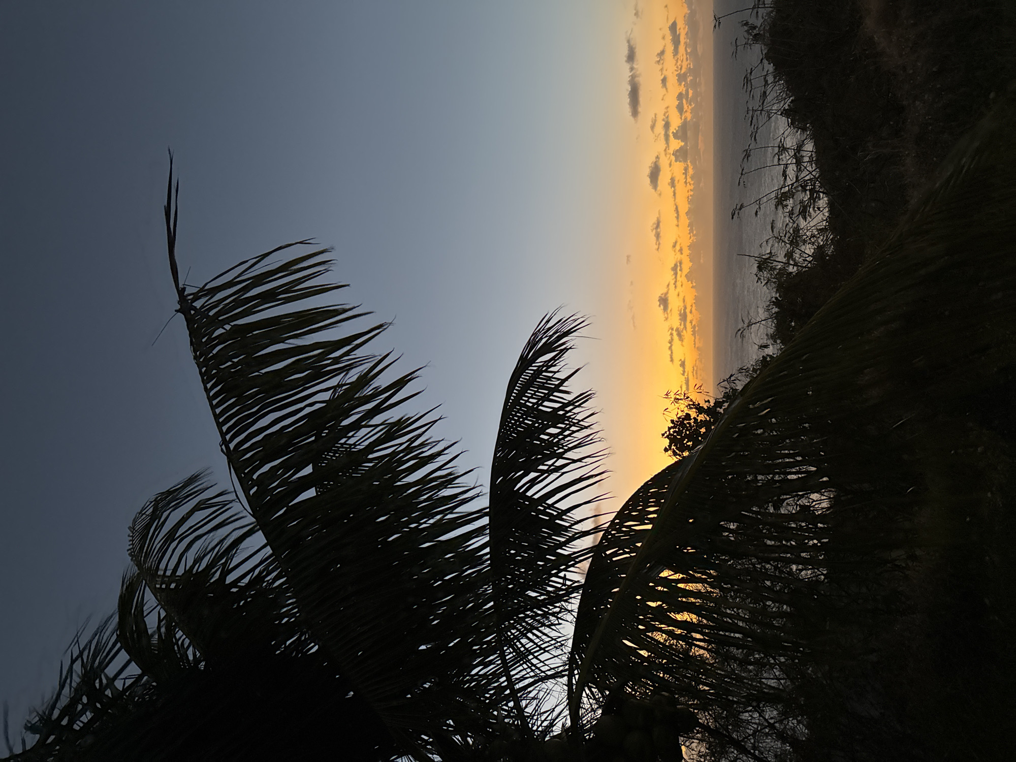Sunset palms and indoor yoga on Christmas Island