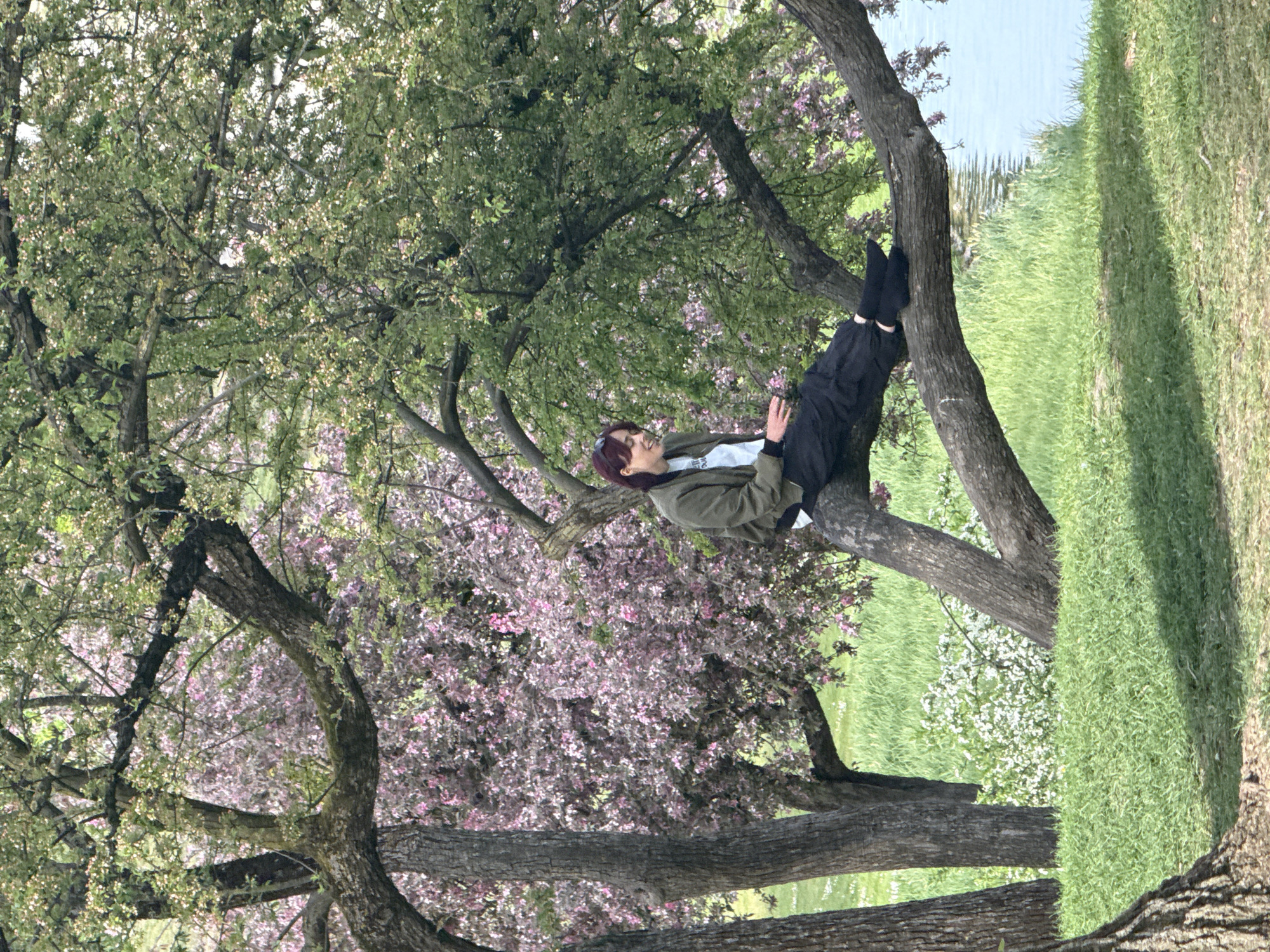 Spring afternoon views captured at Munich's Olympic Park