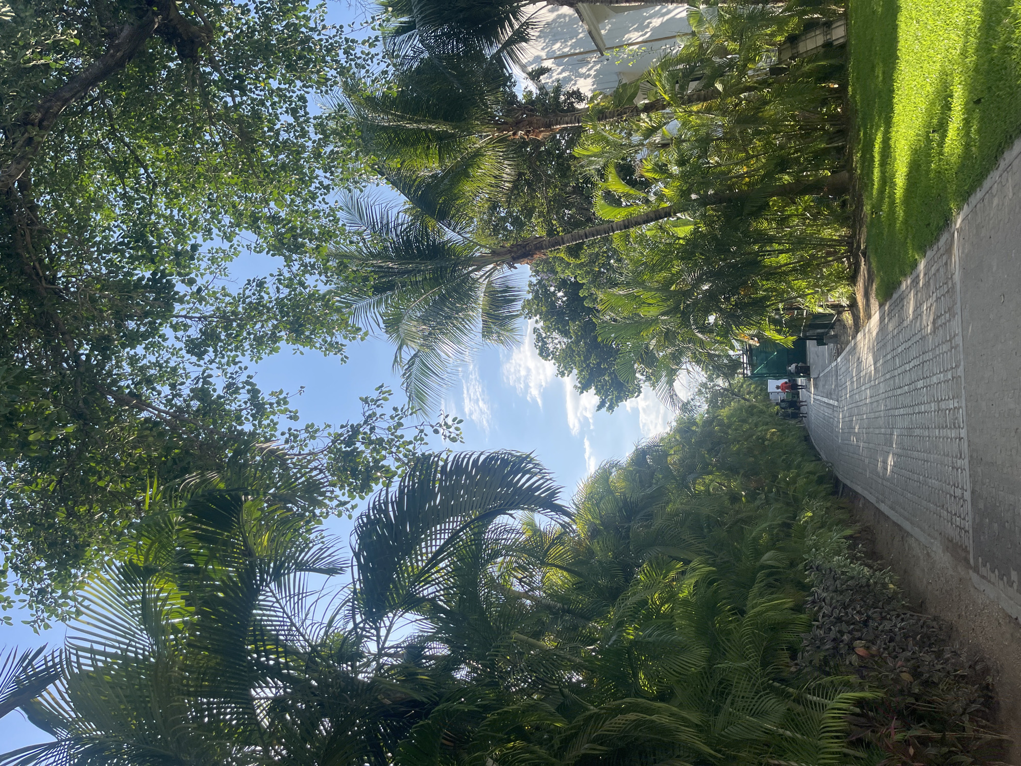 Tourists capture selfie moment on tropical walkway in Playa del Carmen
