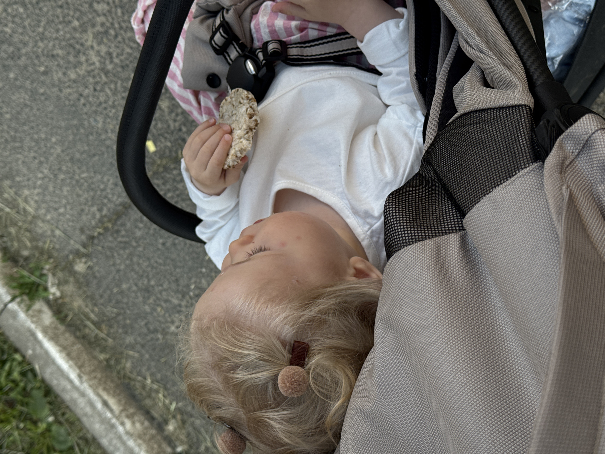 Toddler with snack, fresh strawberries spotted in Vladimir