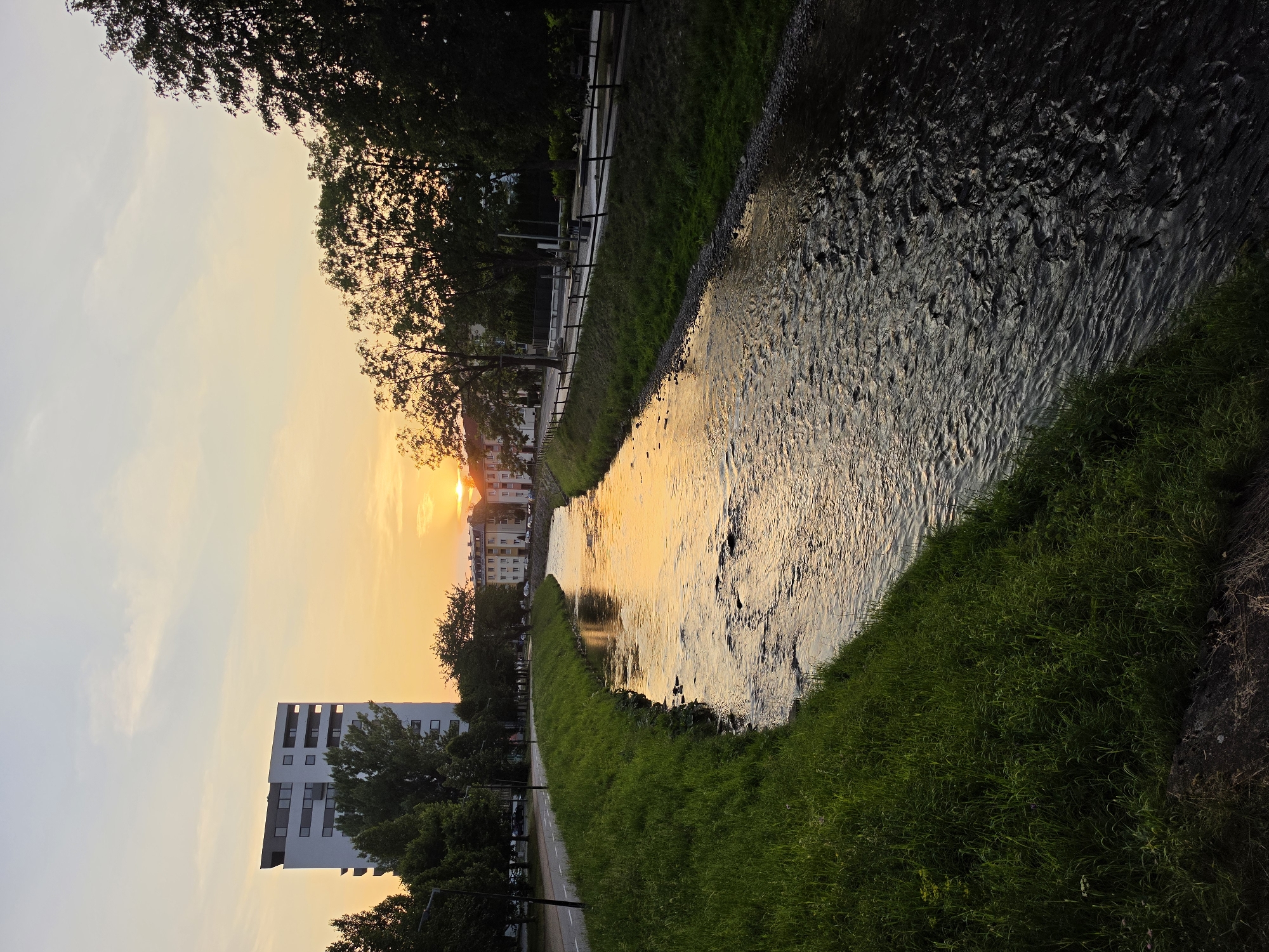 Canal, flowers, and apartment streets at golden hour