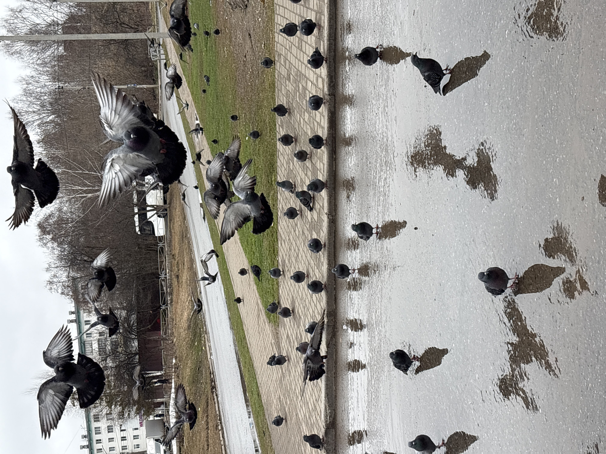 Early Morning Life Documented in Chaikovsky, Russia