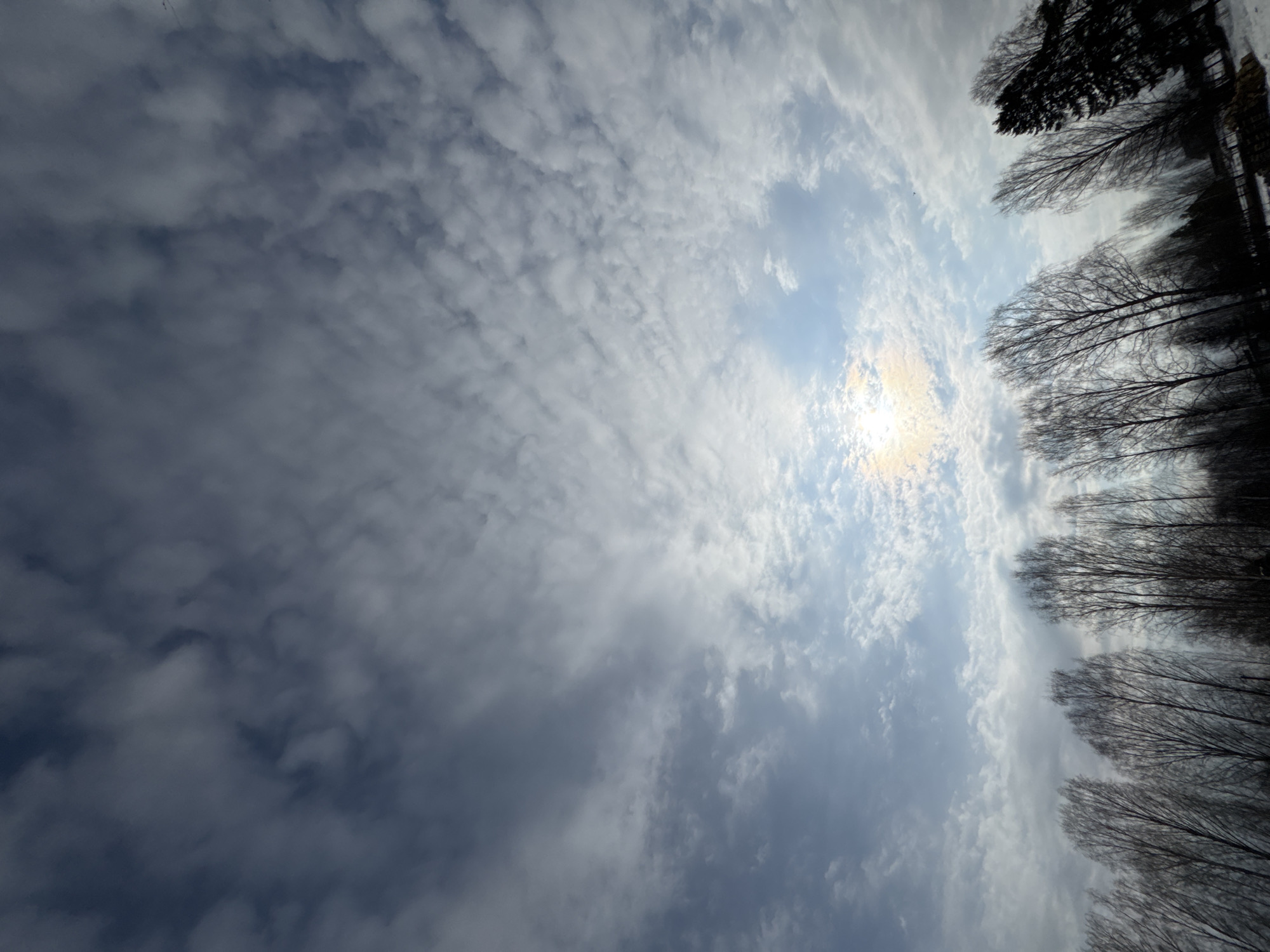 Morning sky conditions documented in Vassyata, Russia