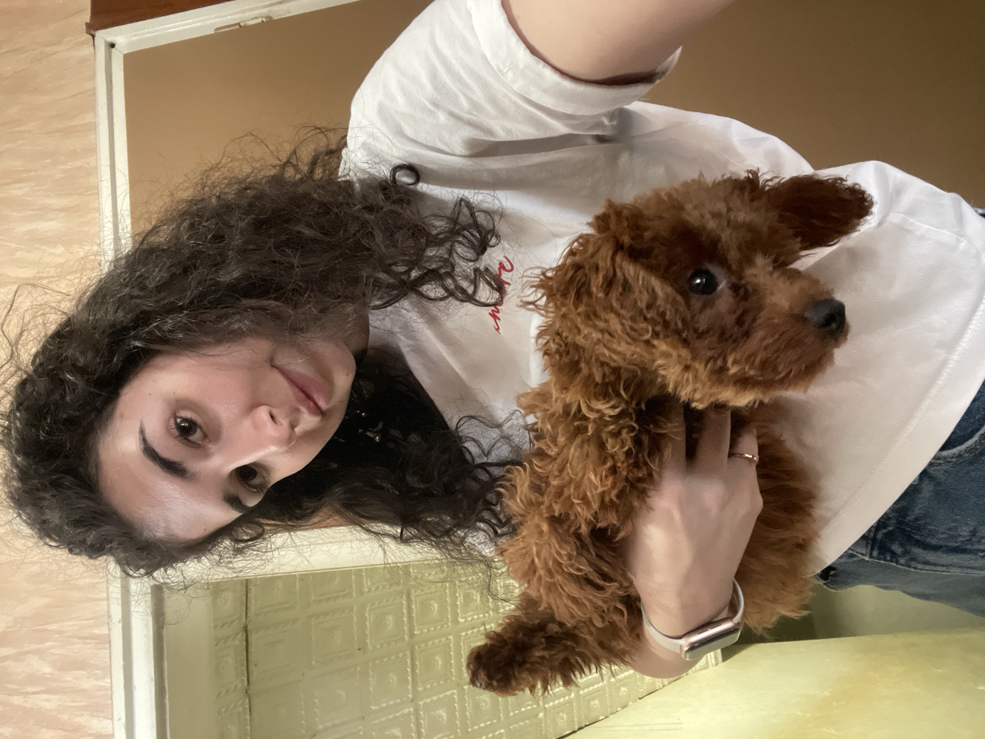 Woman holds brown poodle indoors in Sofia