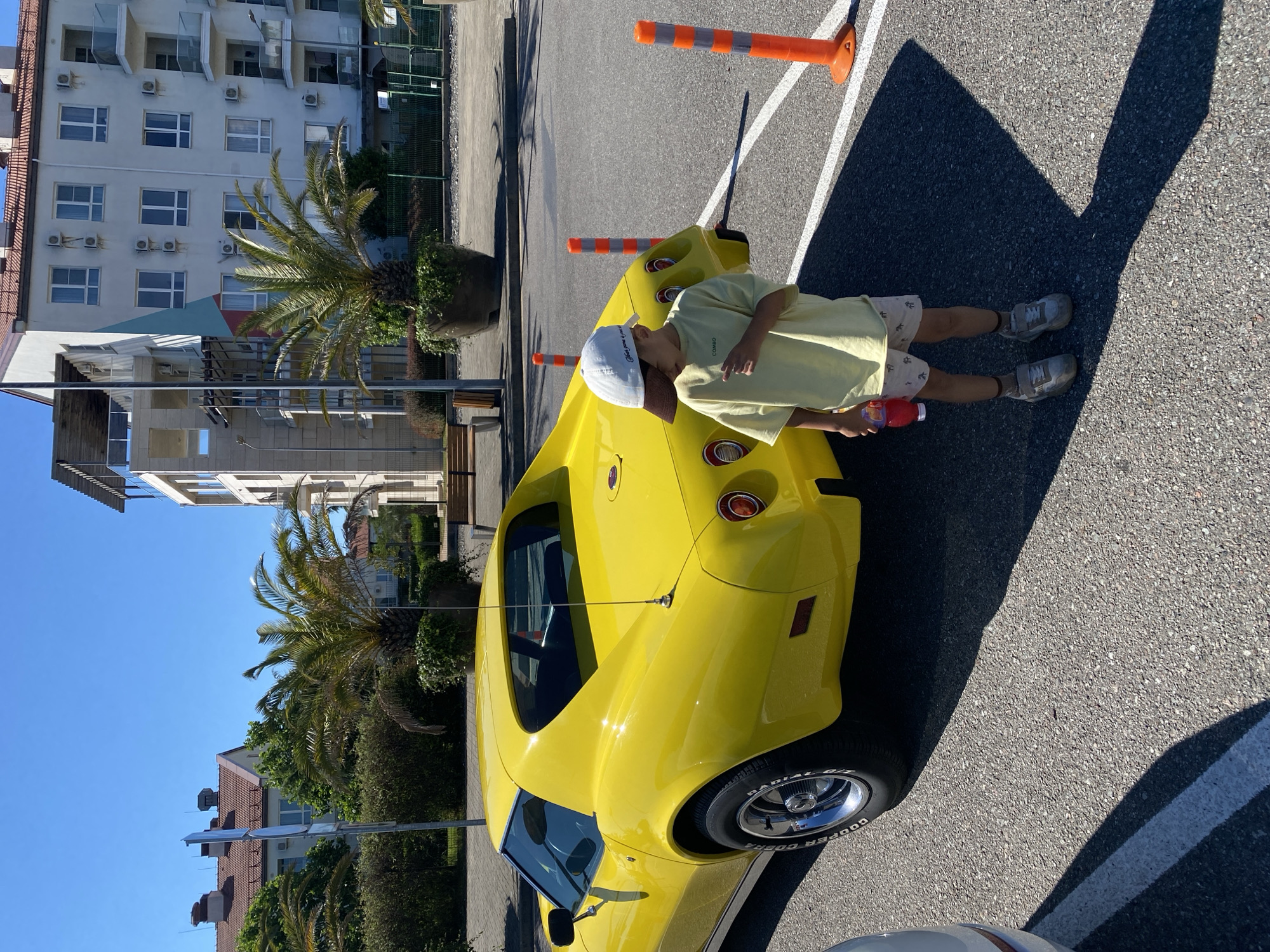 Convertibles and palm-lined paths on a sunny Sirius afternoon